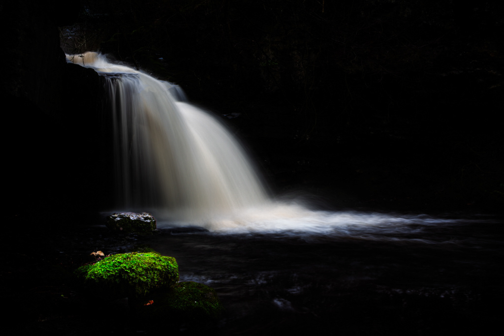 Spotlit moss at West Burton Falls - Yorkshire Dales