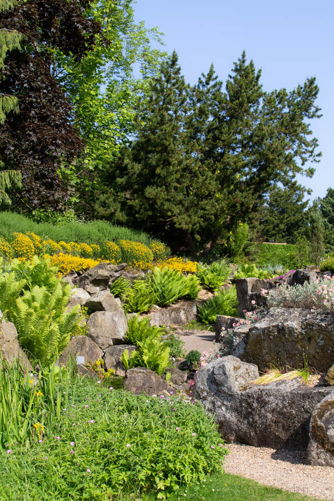 Rock Garden in Late Spring