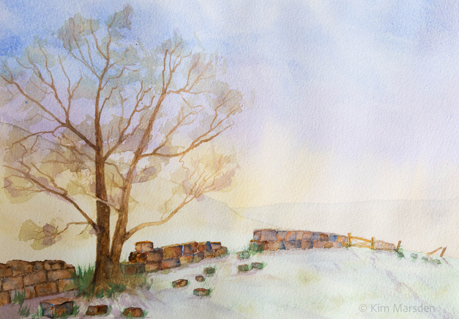 North Yorkshire Moors light