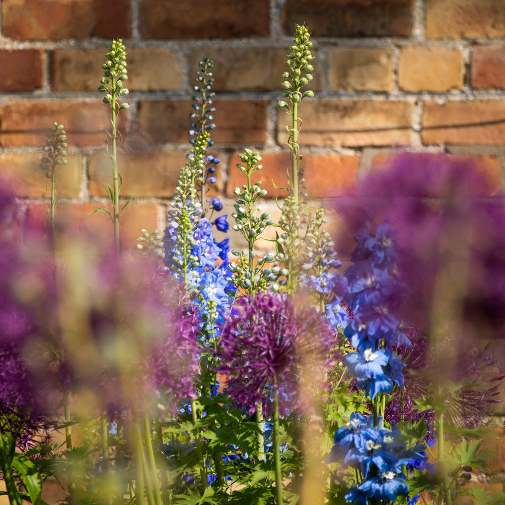 New walled garden in late spring