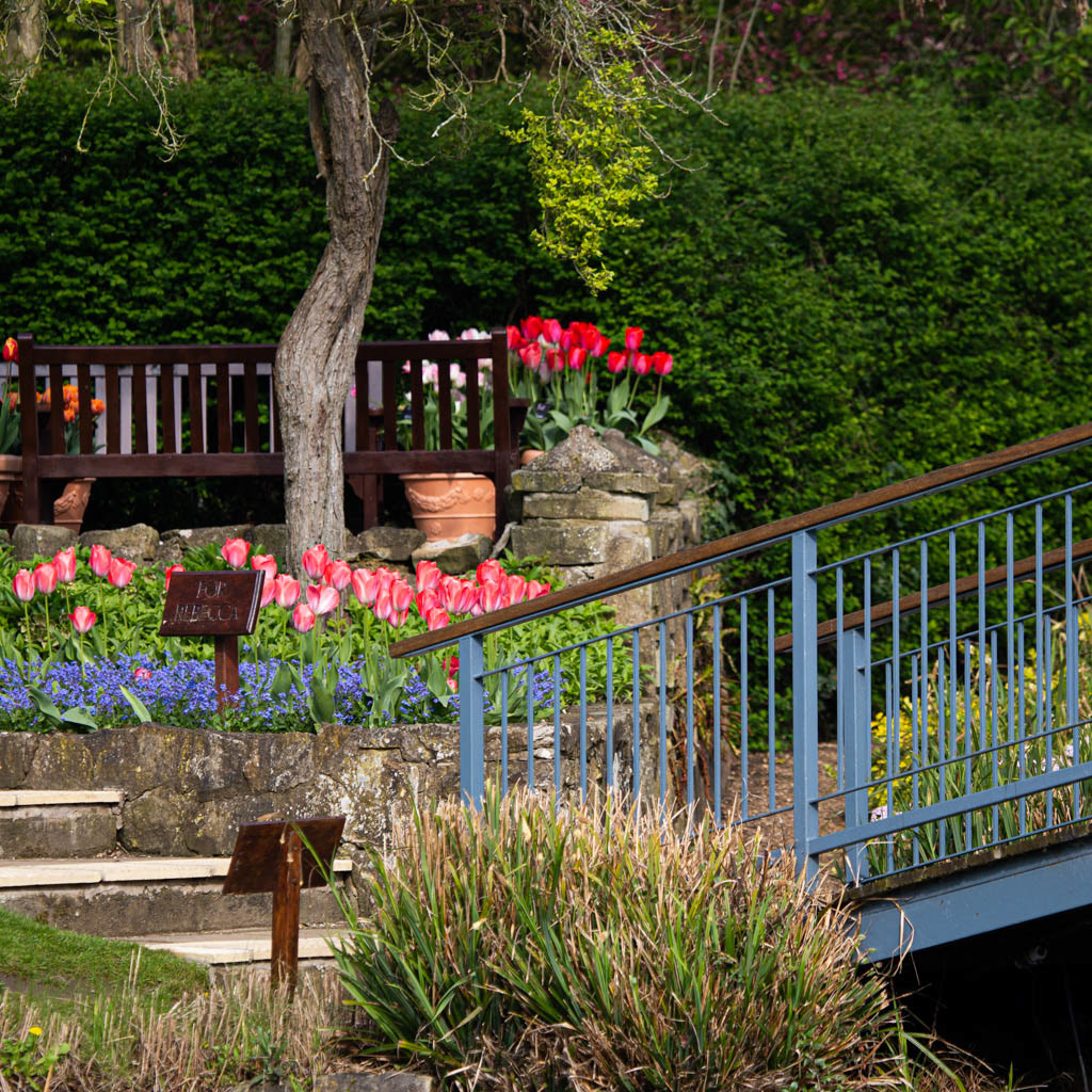 Tulip Festival Time
