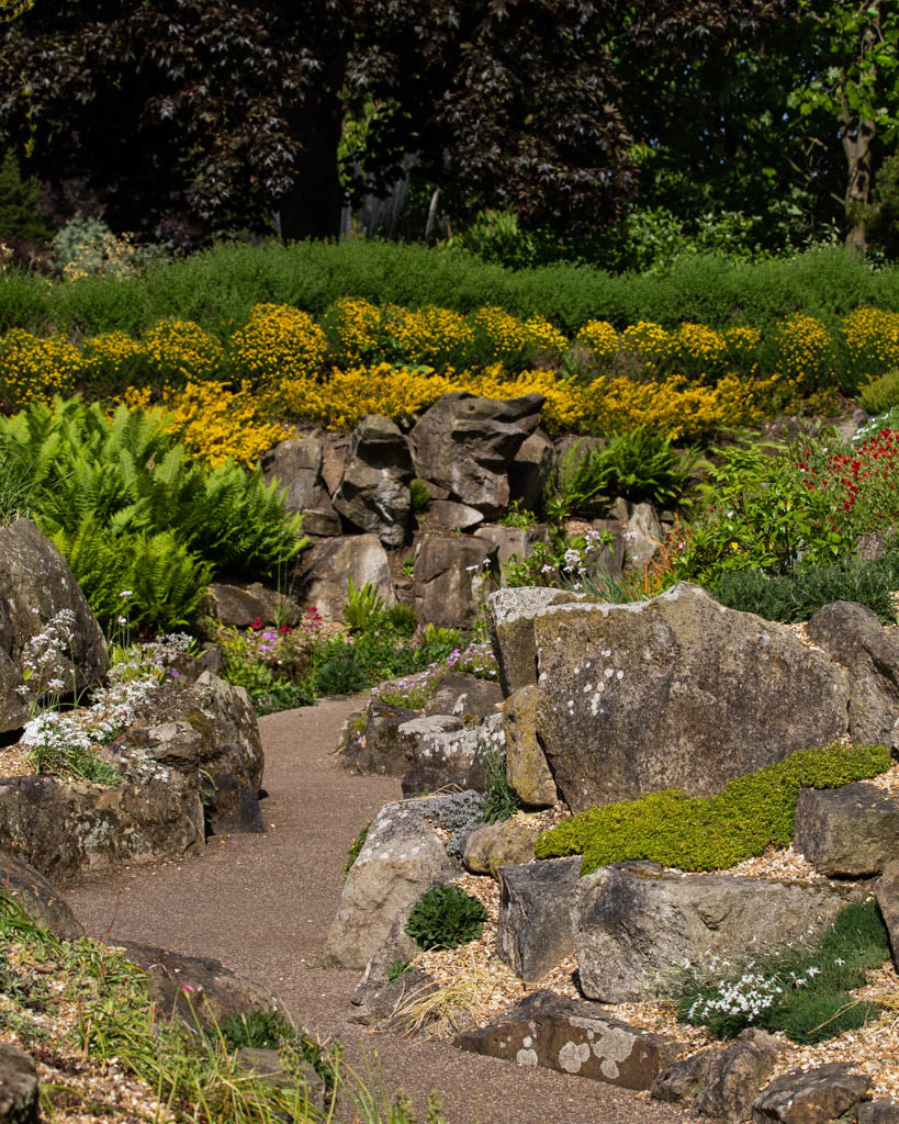 Rock Garden in Late Spring