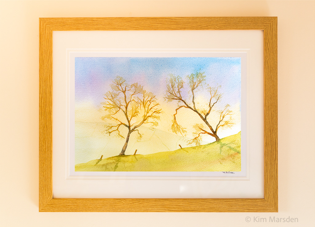 Sunrise through the trees