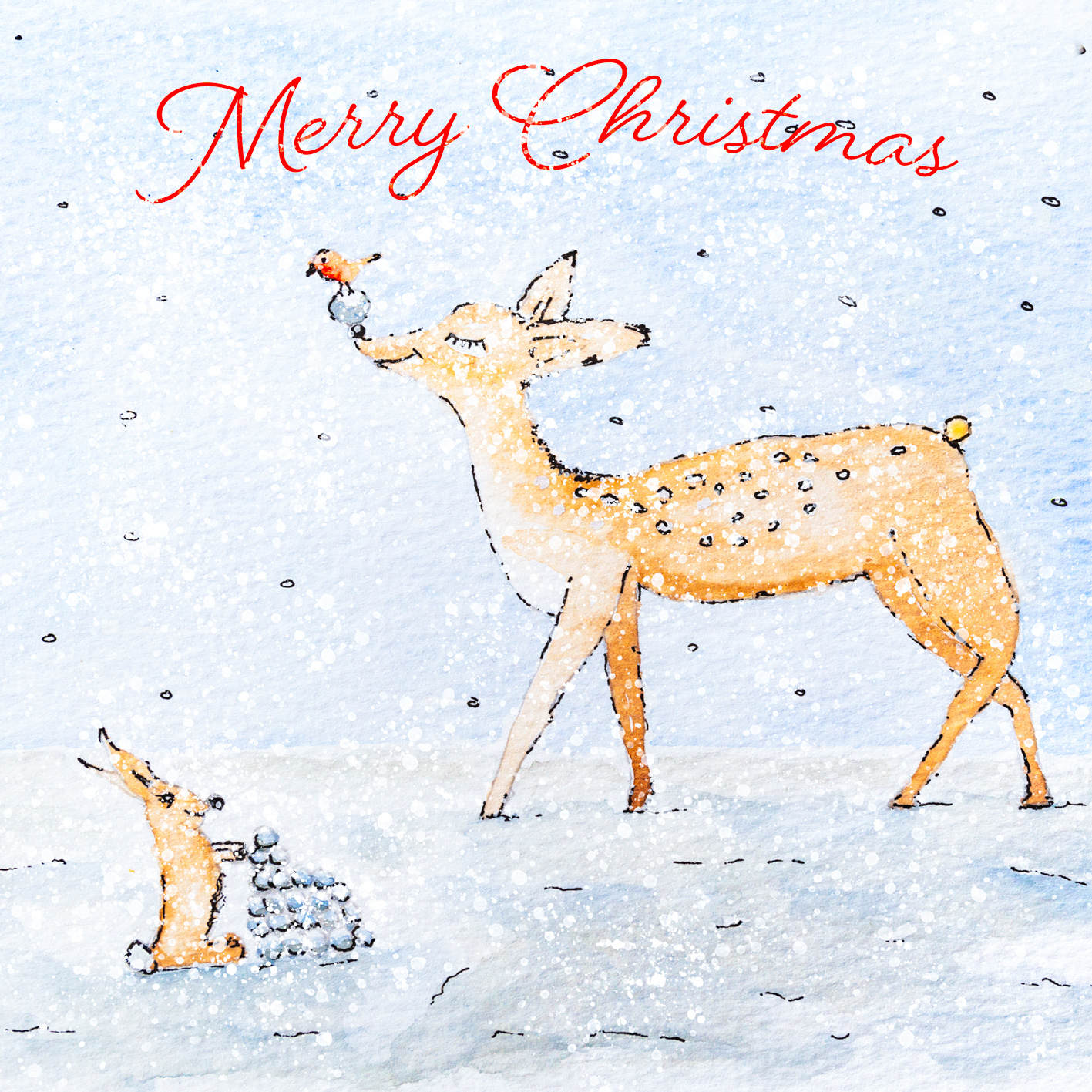 Deer & Robin