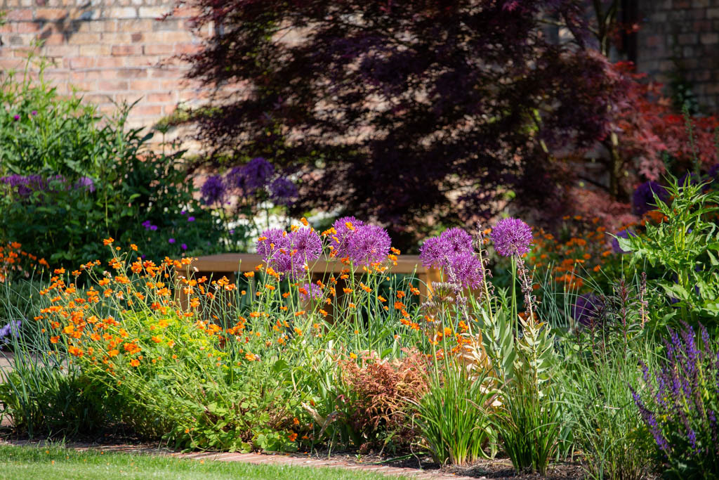 New walled garden in late spring