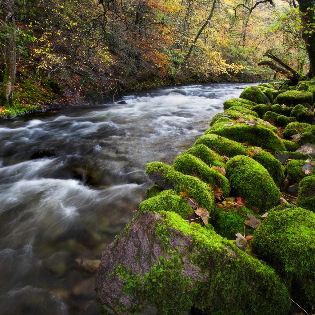 Autumn colours