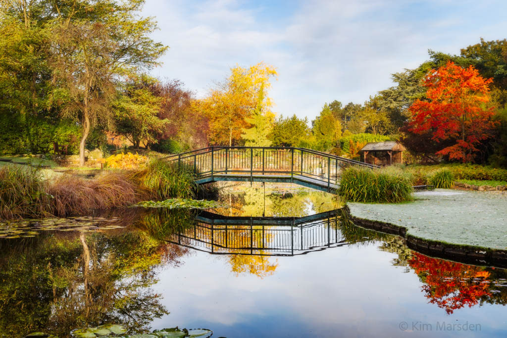 Autumn at Burnby Hall