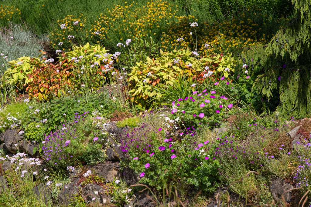 Rock Garden in Late Spring