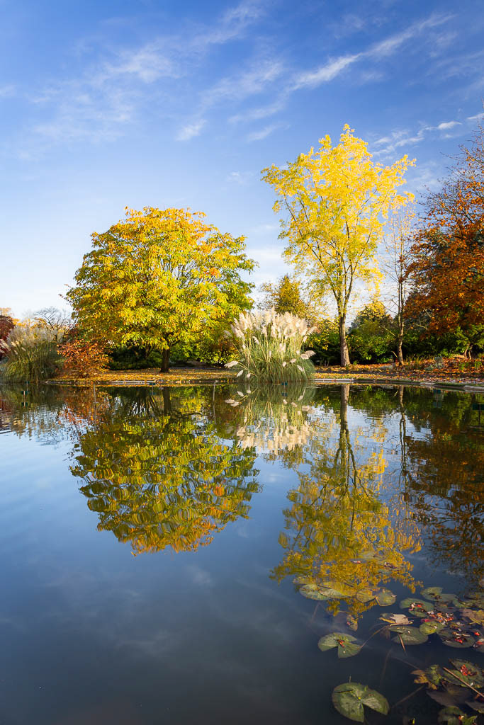 Autumn at Burnby Hall