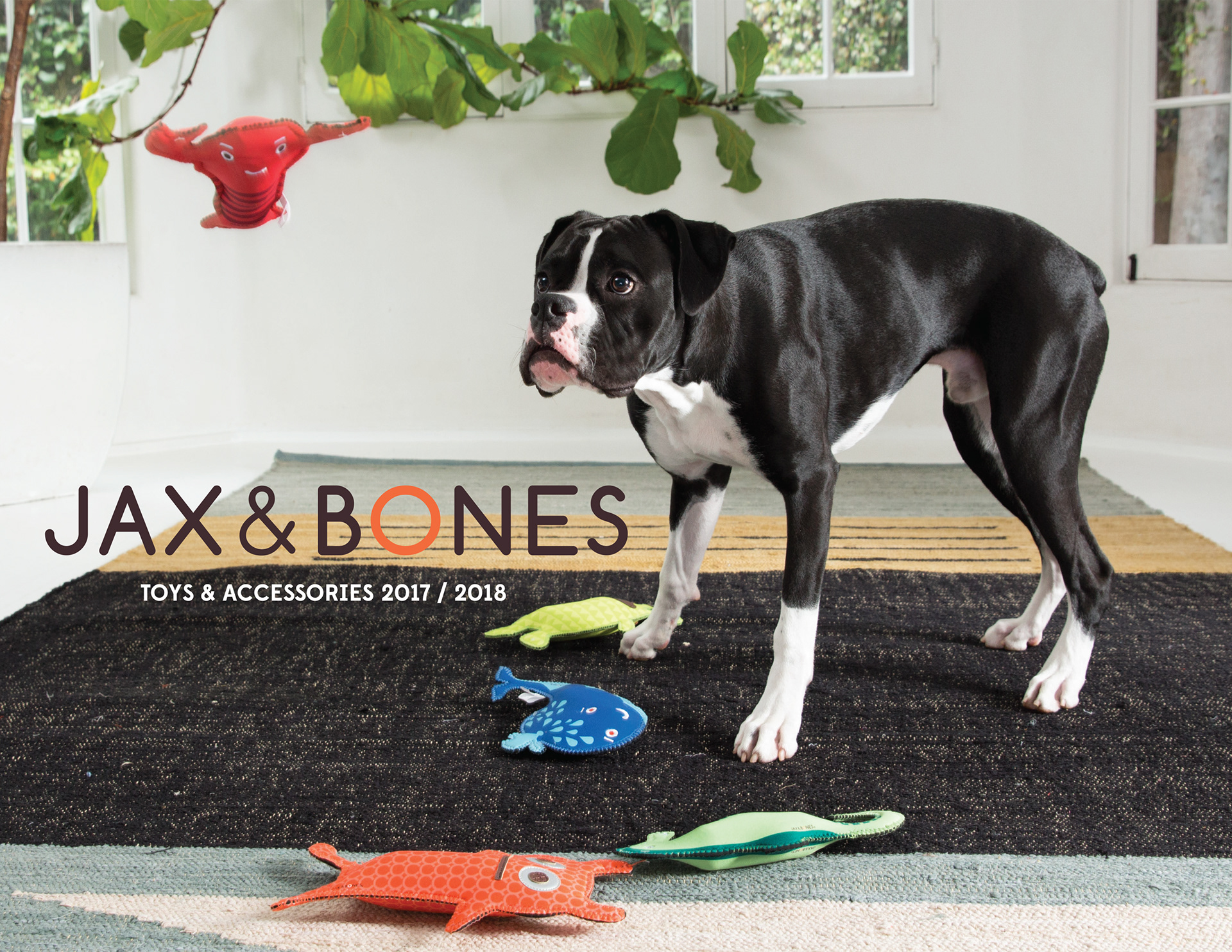 Neoprene toys shown on catalog cover