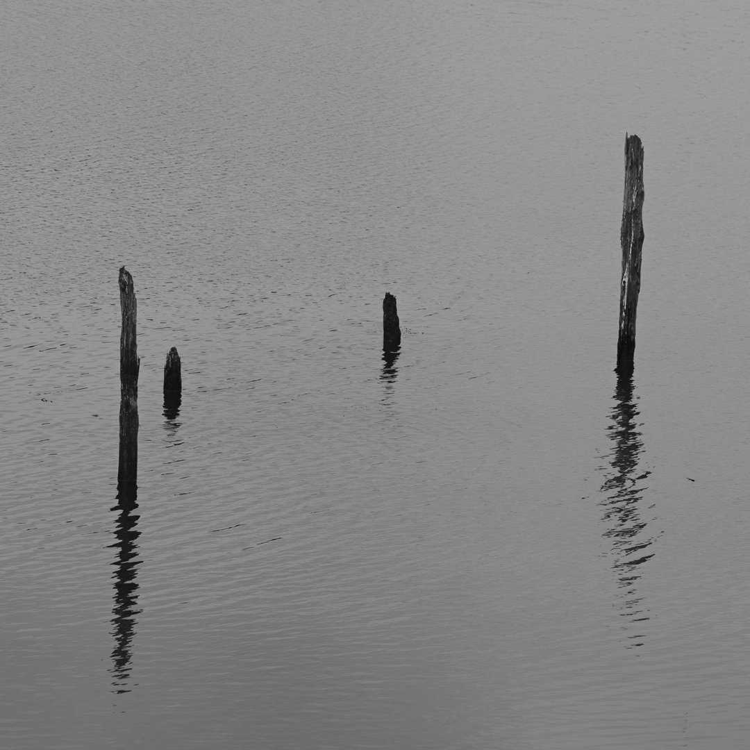 Substance and shadow