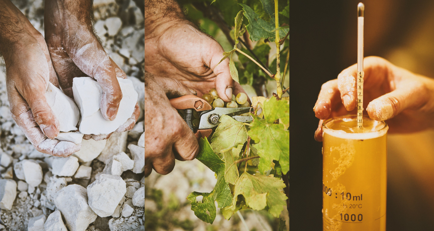 Kreide/Chalk, Ernte/Harvest, Traubensaft/Grapejuice