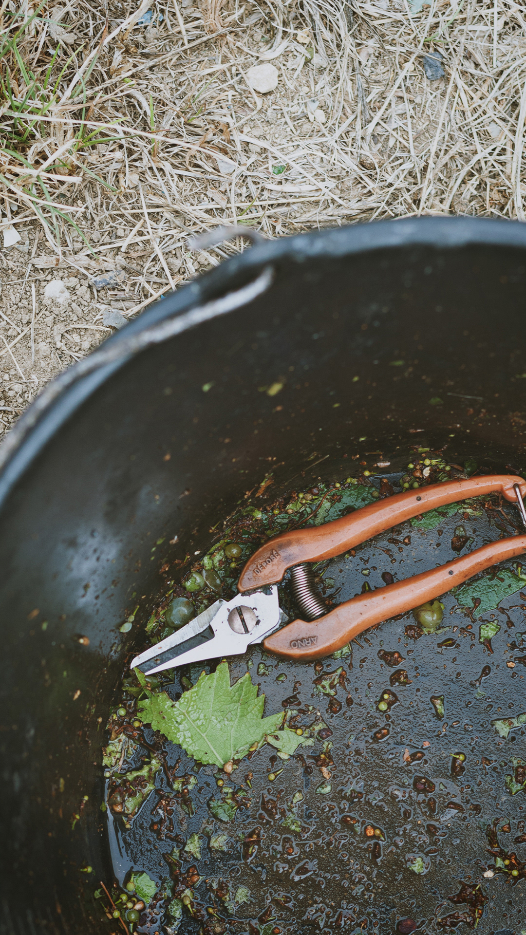 Ernteschere - Tools