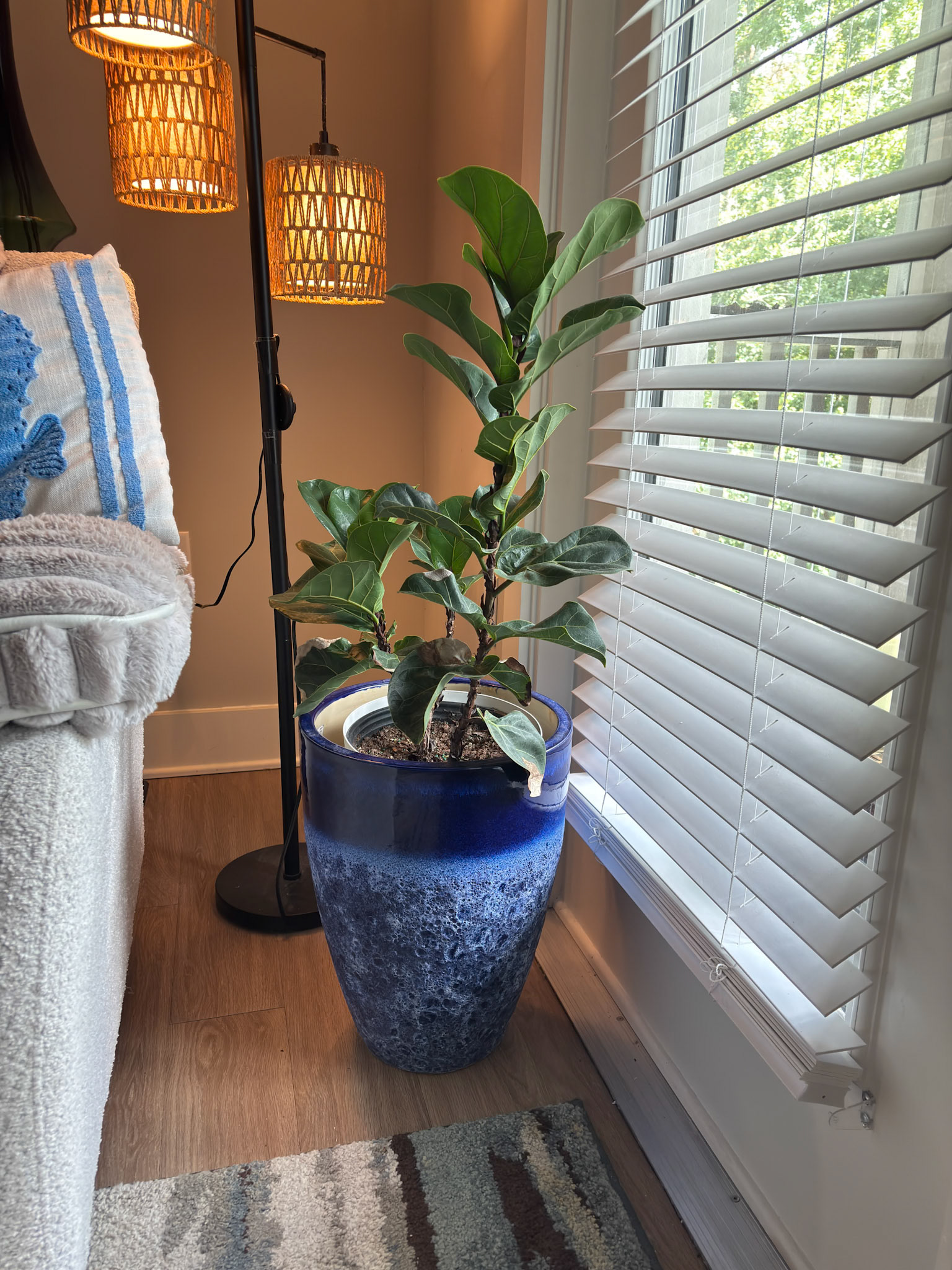 Includes large blue pot