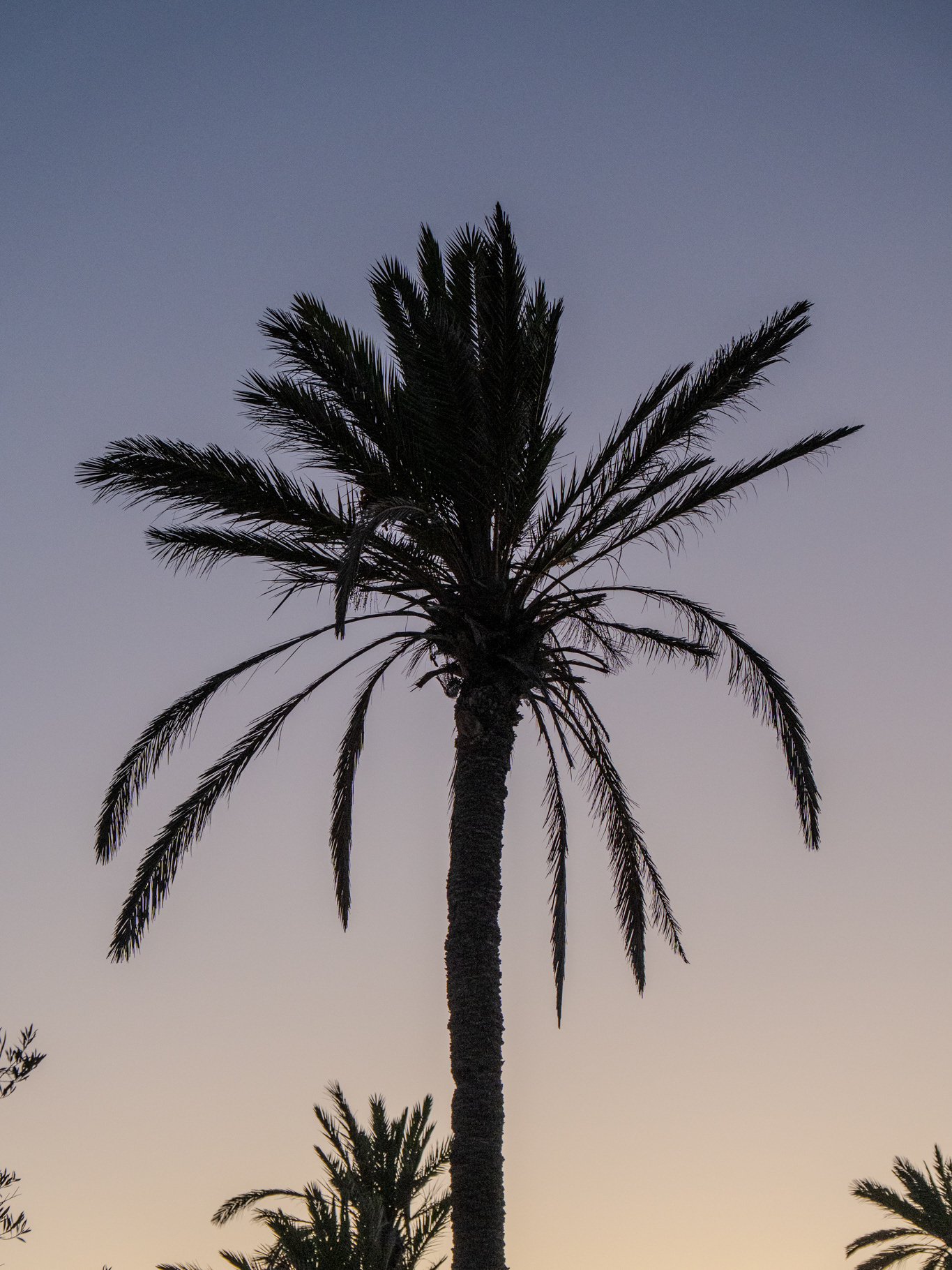 Photos de voyage