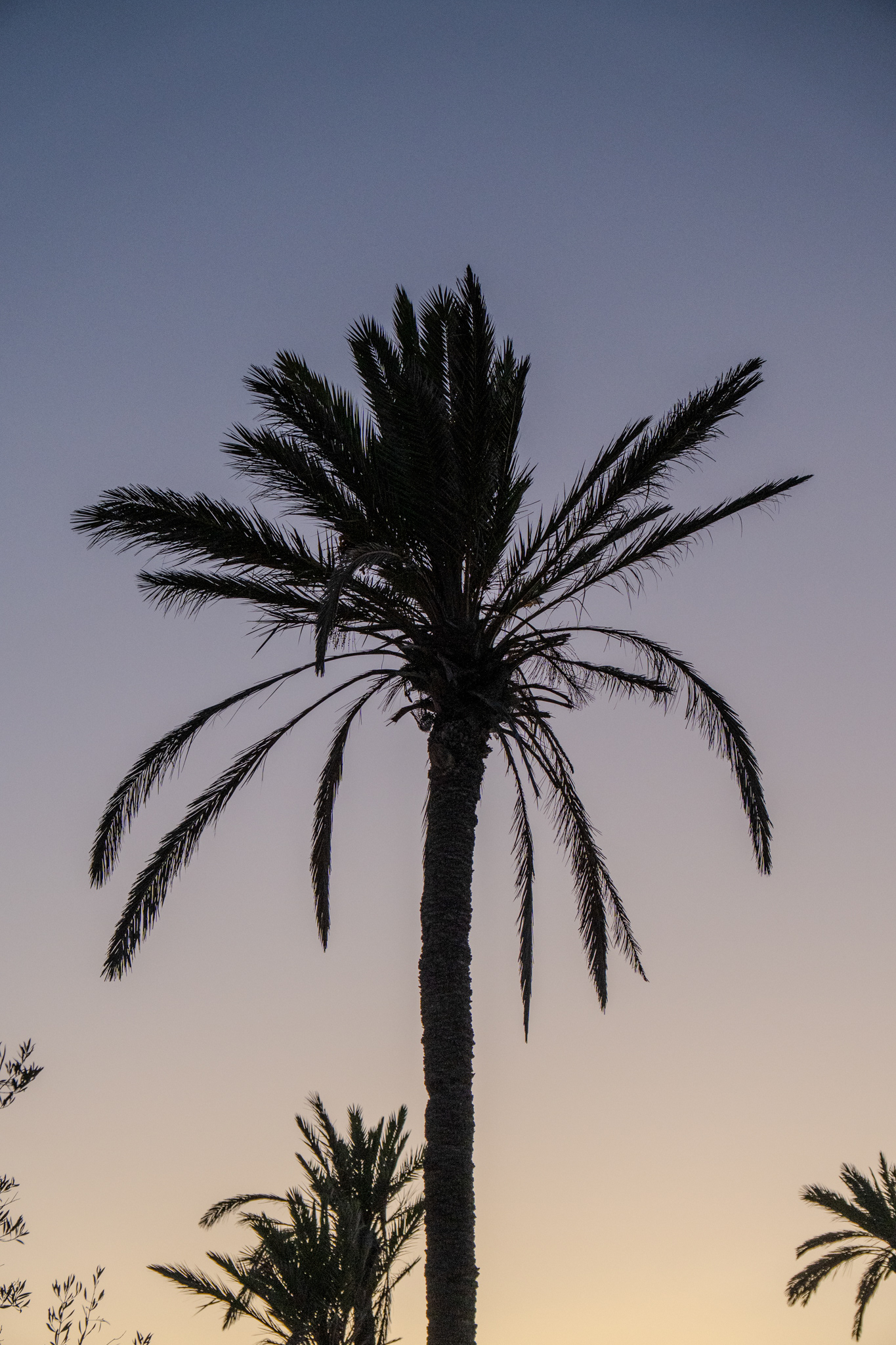 Photos de voyage