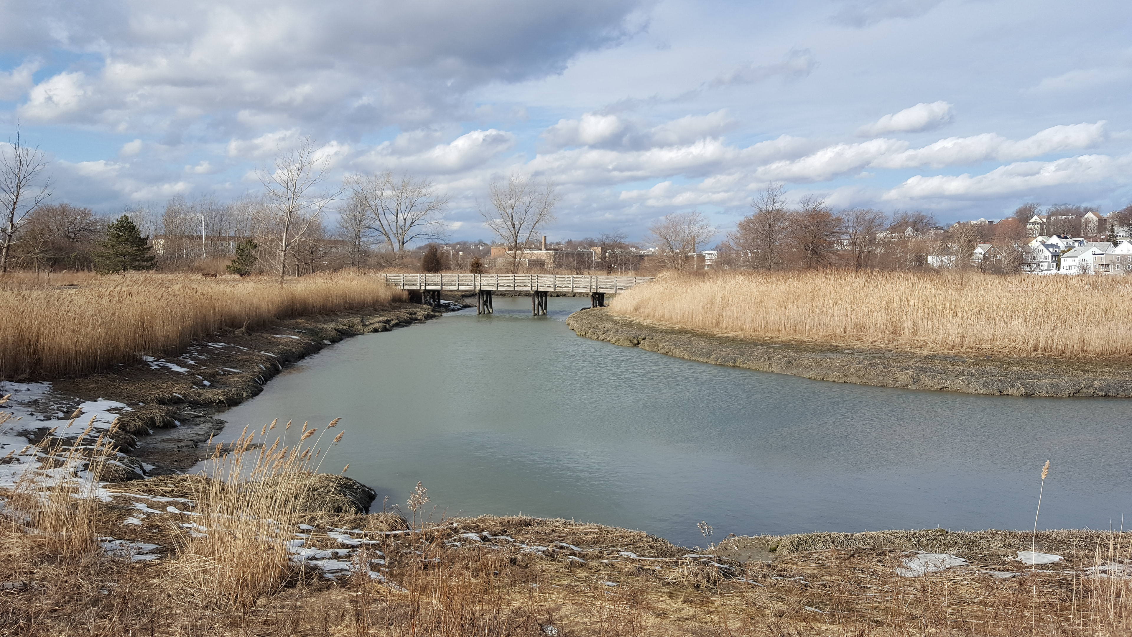 Marsh Location
