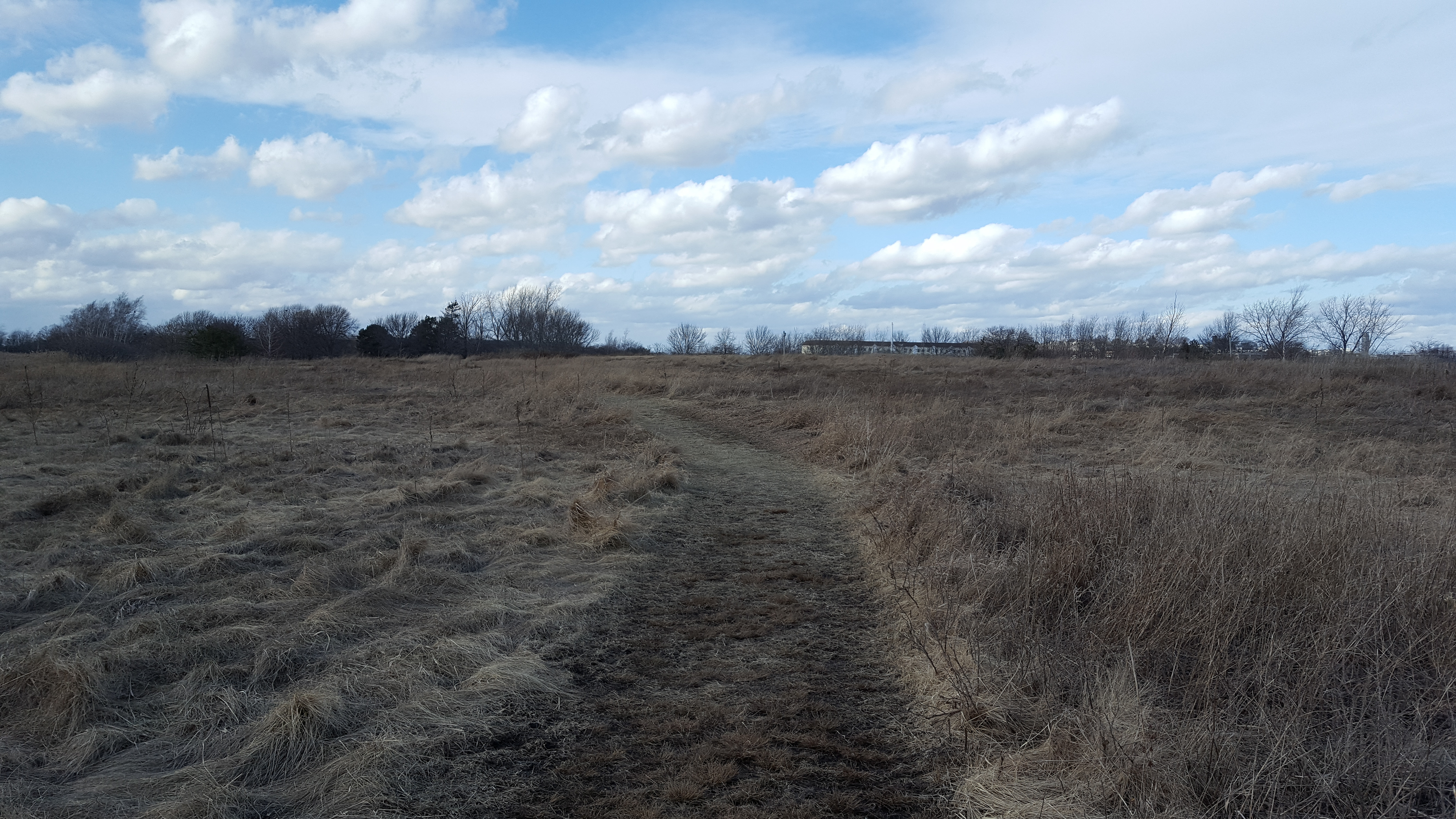 Marsh Location