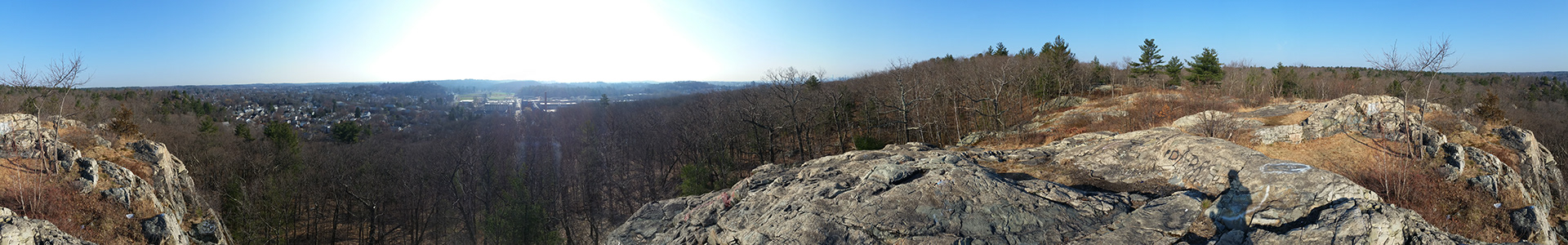Forest location 3 (from location scouting for Scavengers)