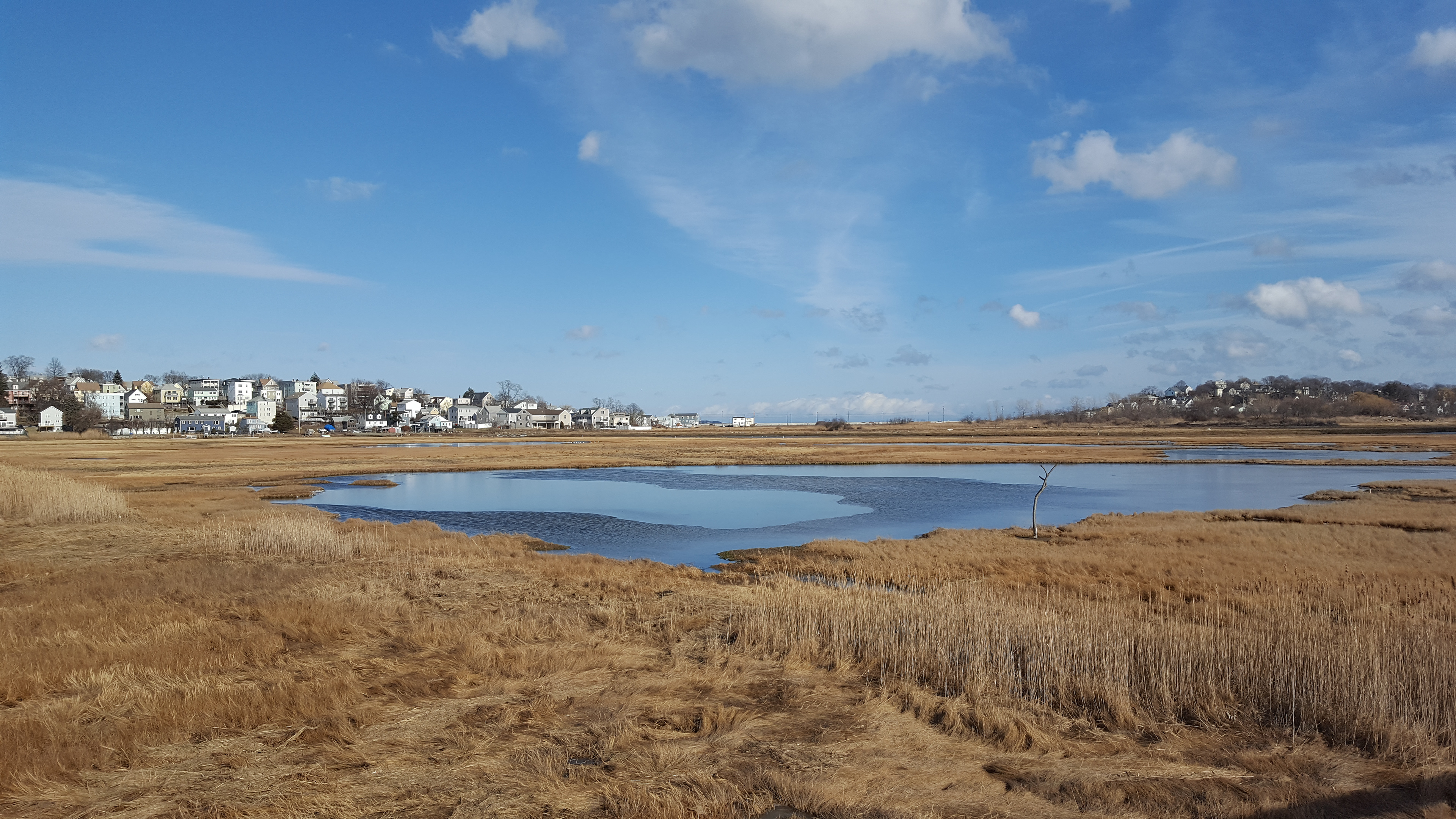 Marsh Location