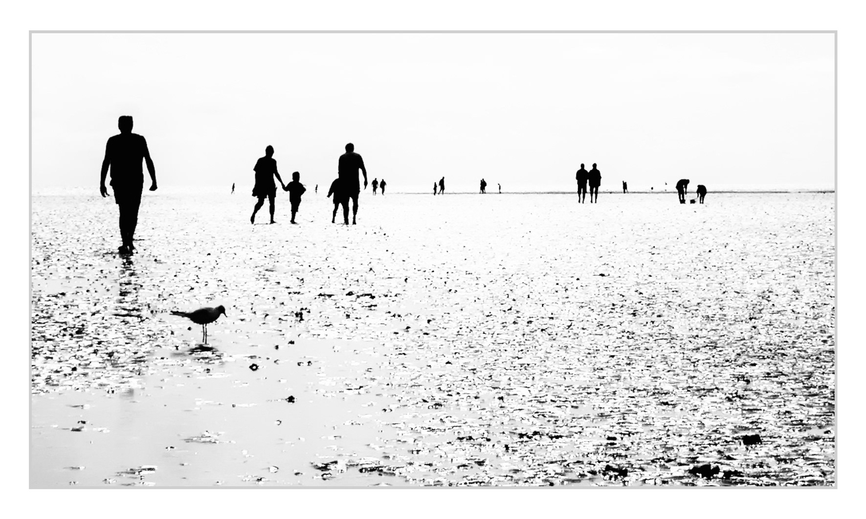 Sonntagsspaziergang im Watt