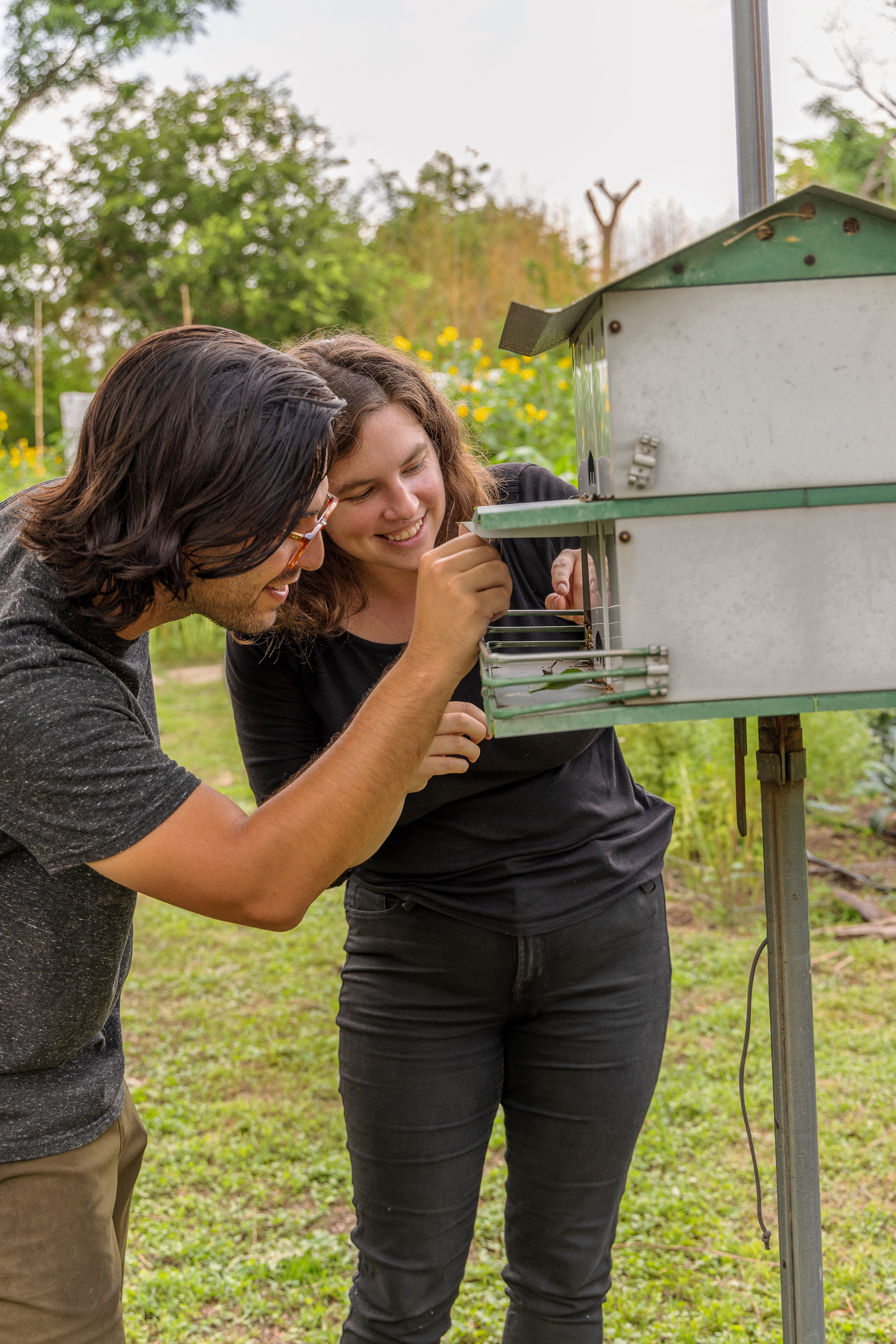 Purple martin landlords Kevin & Alex happily check on a purple martin nest in one of their house style nesting boxes.