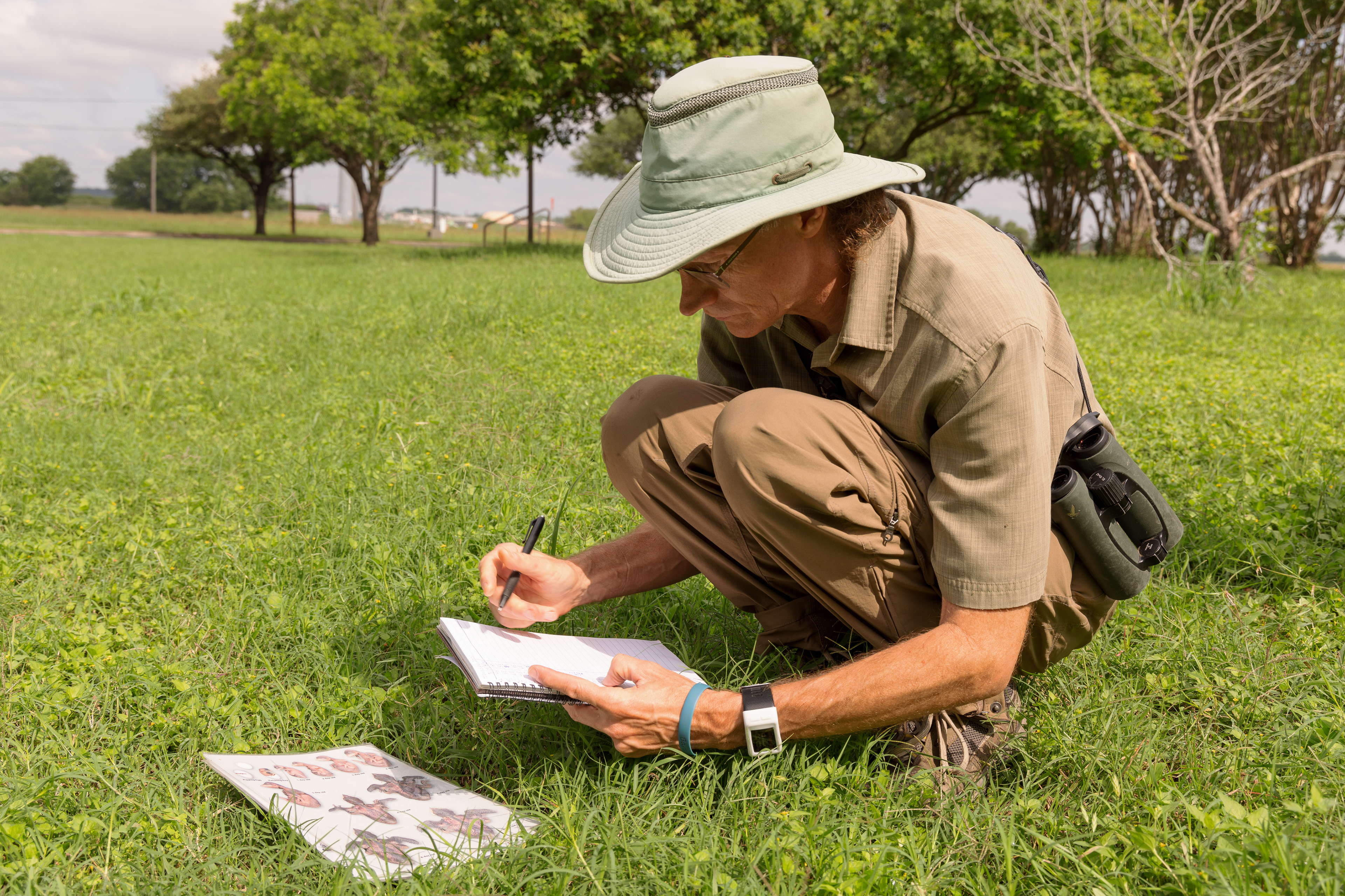 A dedicated community scientist, Andy Balinsky documents how many nesting pairs and how many martin eggs & hatchlings they have at their colonies during the nesting season. He submits the data yearly to the Purple Martin Conservation Association (PMCA). Hornsby Bend Water Treatment Plant & Environmental Research Center, Austin, TX.
