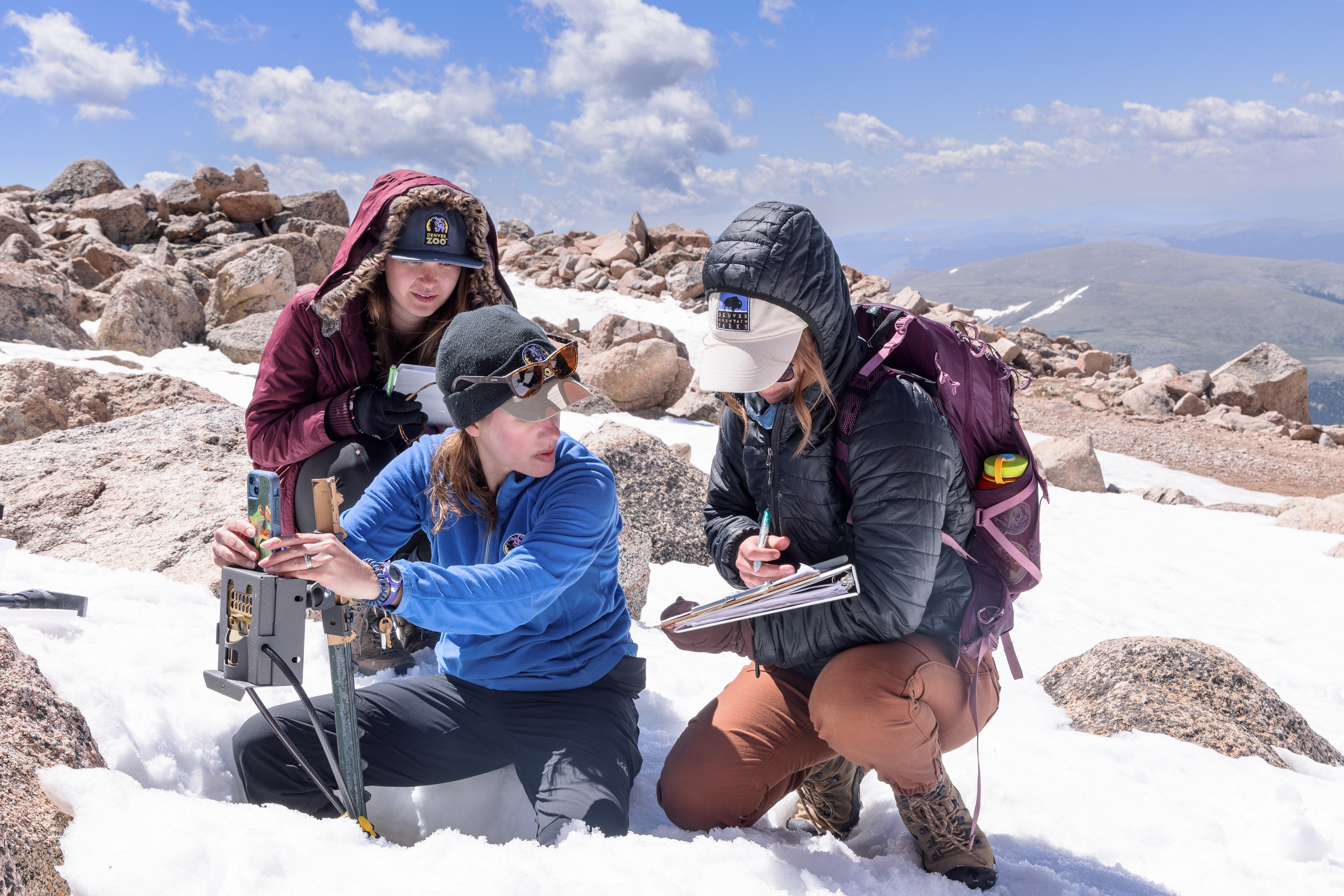On a chilly morning in early summer, Denver Zoo Conservation Biologist Julie Krajewski and her team set up a trail camera to monitor wildlife behavior.