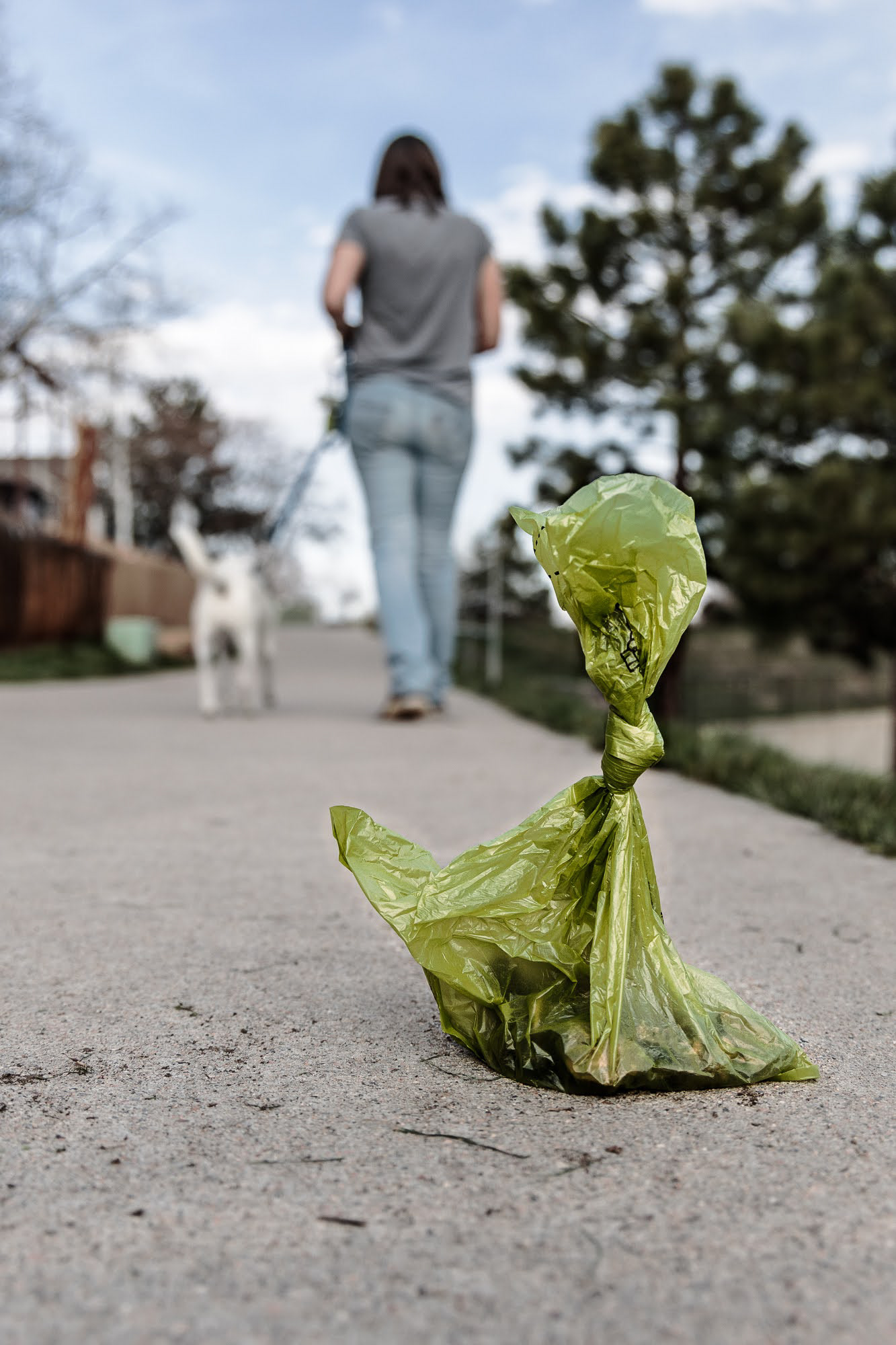 Depiction of a bad habit that affects most neighborhoods.  Clean up after your pet! Colorado