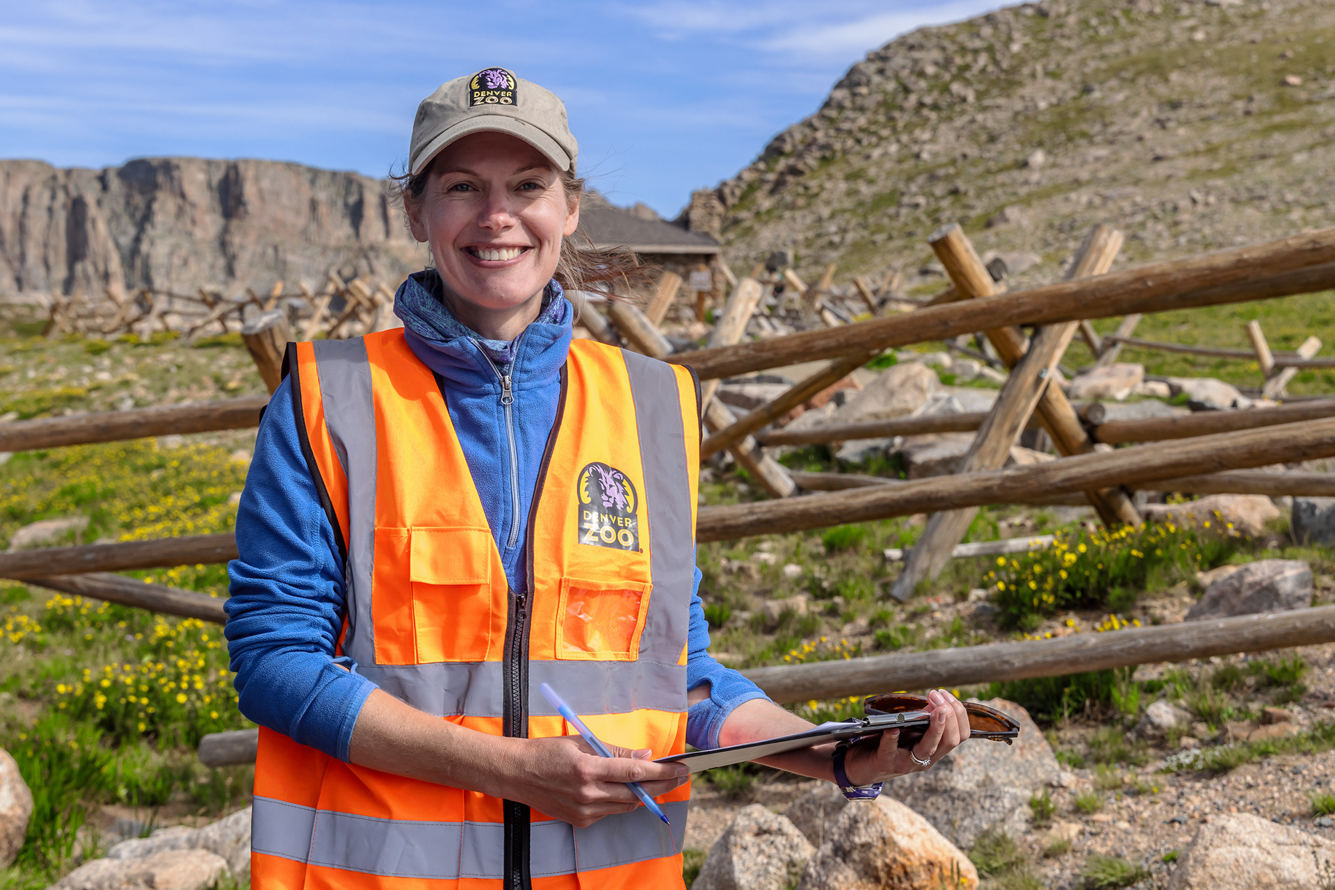 Denver Zoo Conservation Biologist Julie Krajewski leads the research team that is trying to find out what chemicals and minerals are causing ungulates to congregate in human spaces on Mount Blue Sky.
