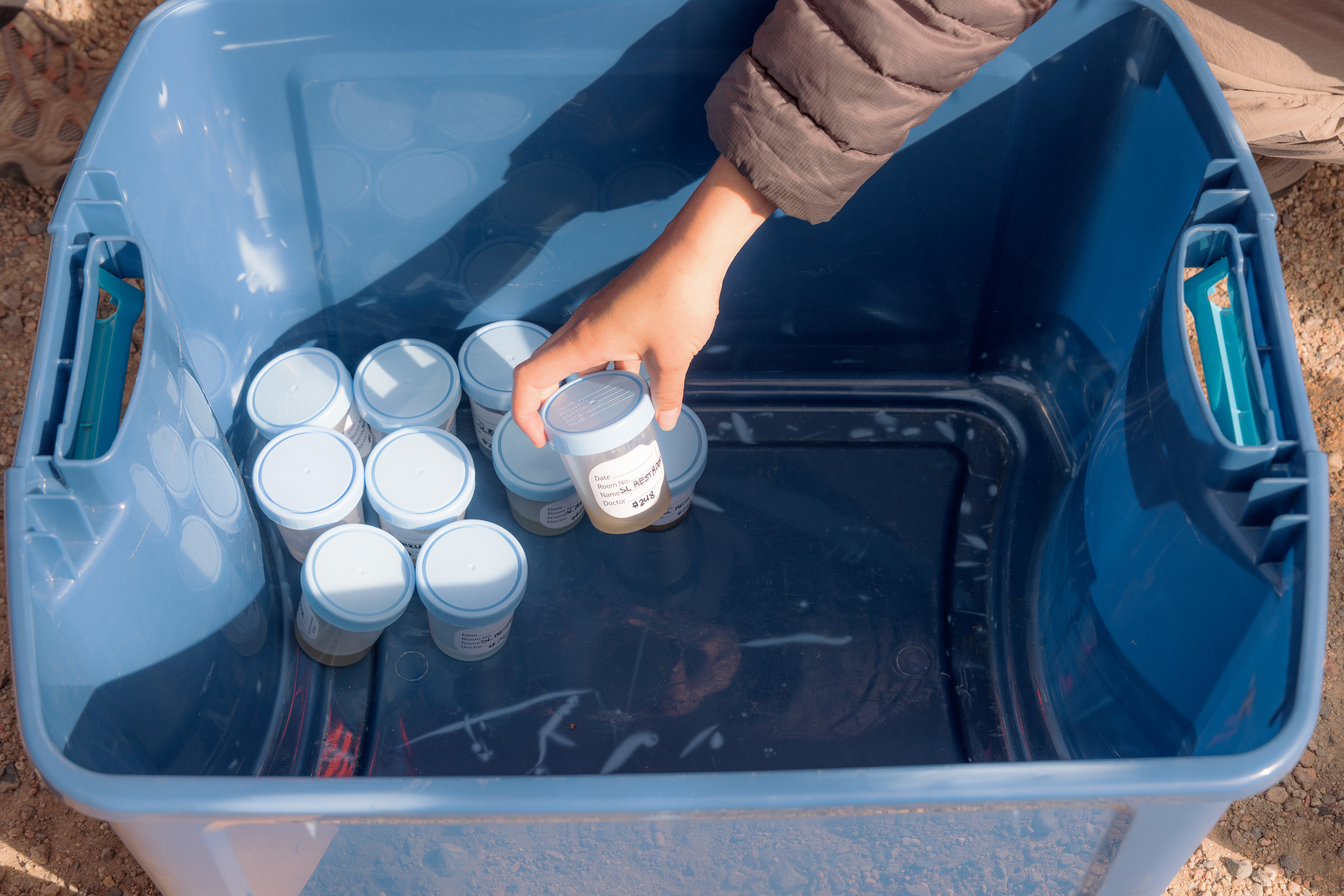 A Denver Zoo employee adds the minerals they collected from the Summit Lake parking lot site to a collection bin. The samples will be transported to the Denver Zoo for preparation and analysis at a local lab.