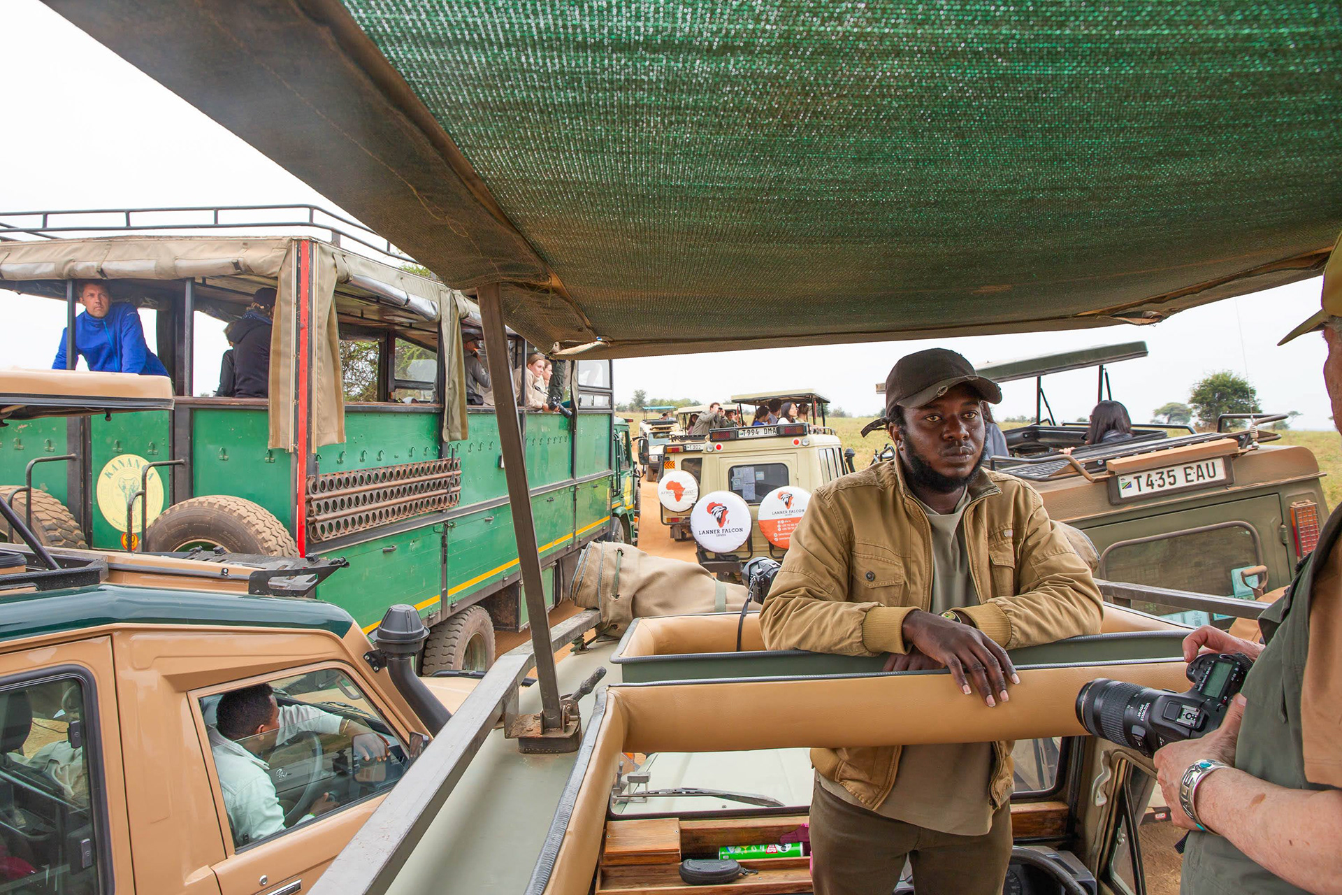 Tour guide operator Sosi, looks on with frustration as an army of Land Rovers jostle for a good position to watch a mother cheetah and her cubs in Serengeti National Park.