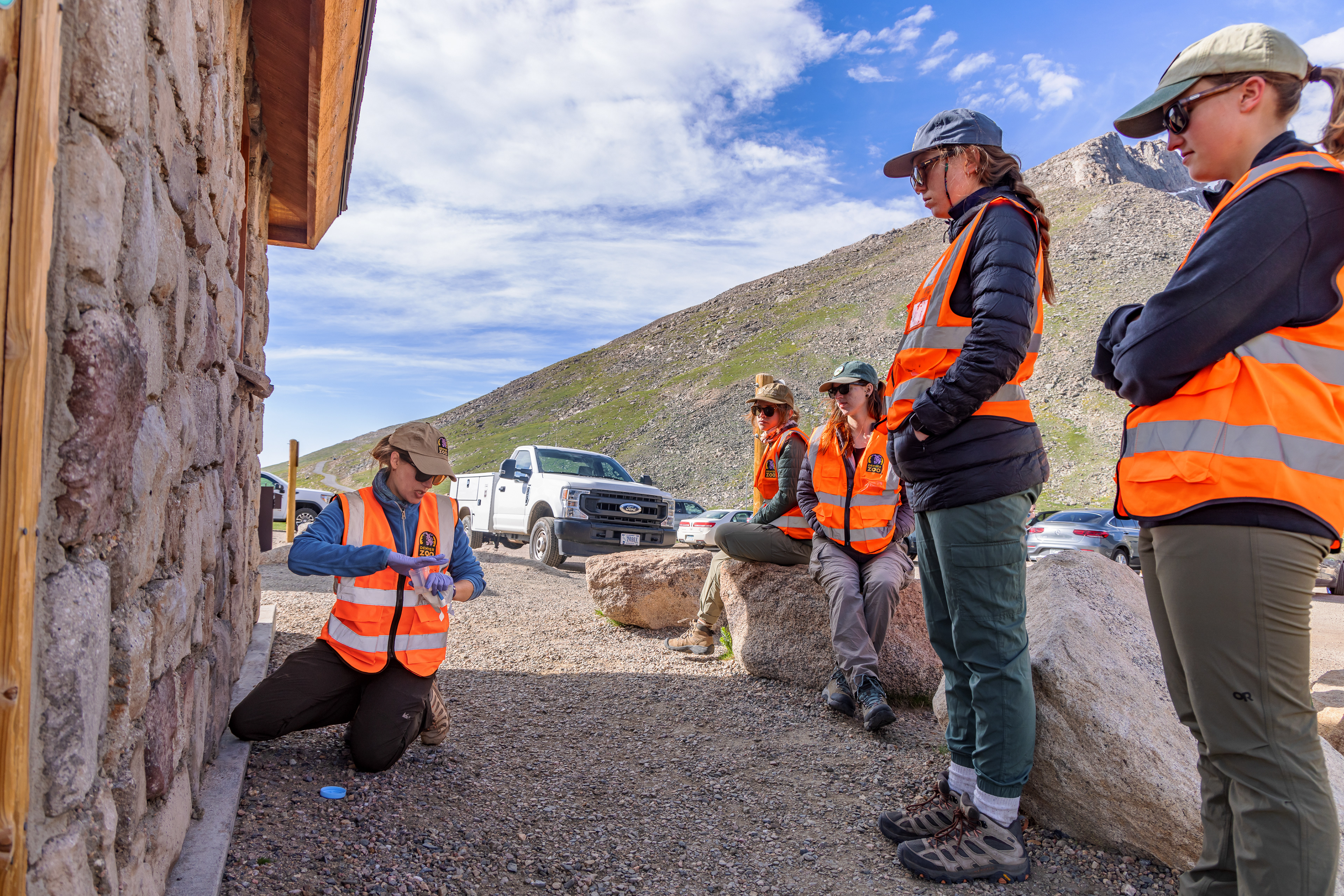 Denver Zoo Conservation Biologist Julie Krajewski instructs her team on how to properly take mineral samples in the field.