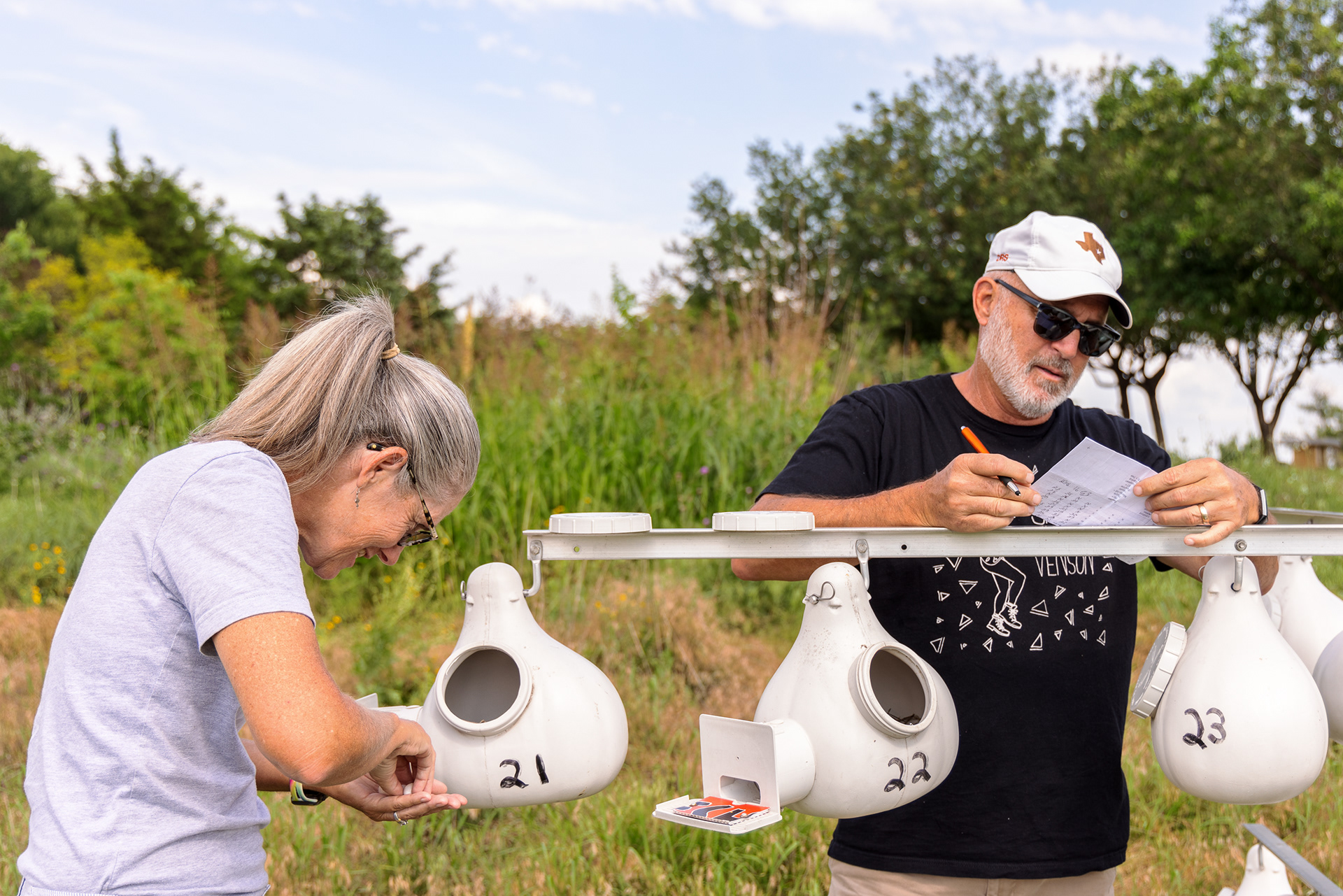 Purple martin landlords, Cathy & Dennis Schneider do nest checks together once a week to collect data on their martins, which they submit to the PMCA. Meuller Prairie Park, Austin, TX.