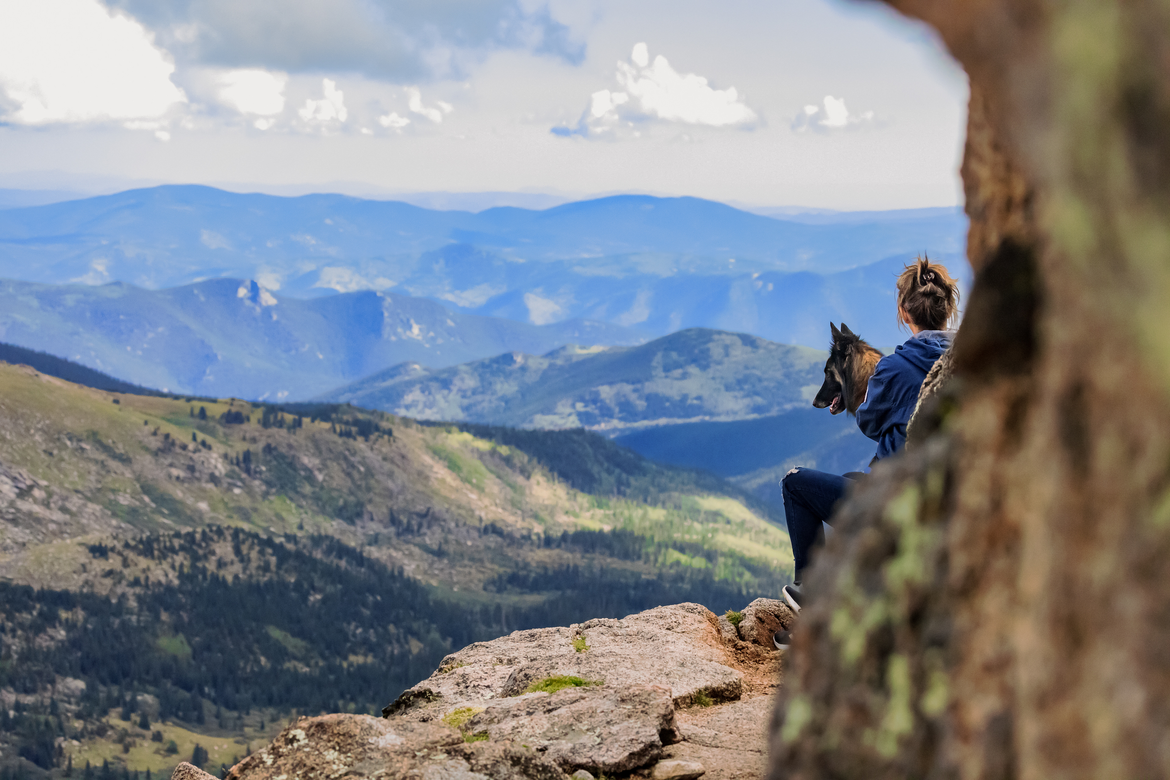 A hiker and her dog take a break on the Chicago Lakes trail to admire the landscape.  Mount BlueSky, Colorado 2022