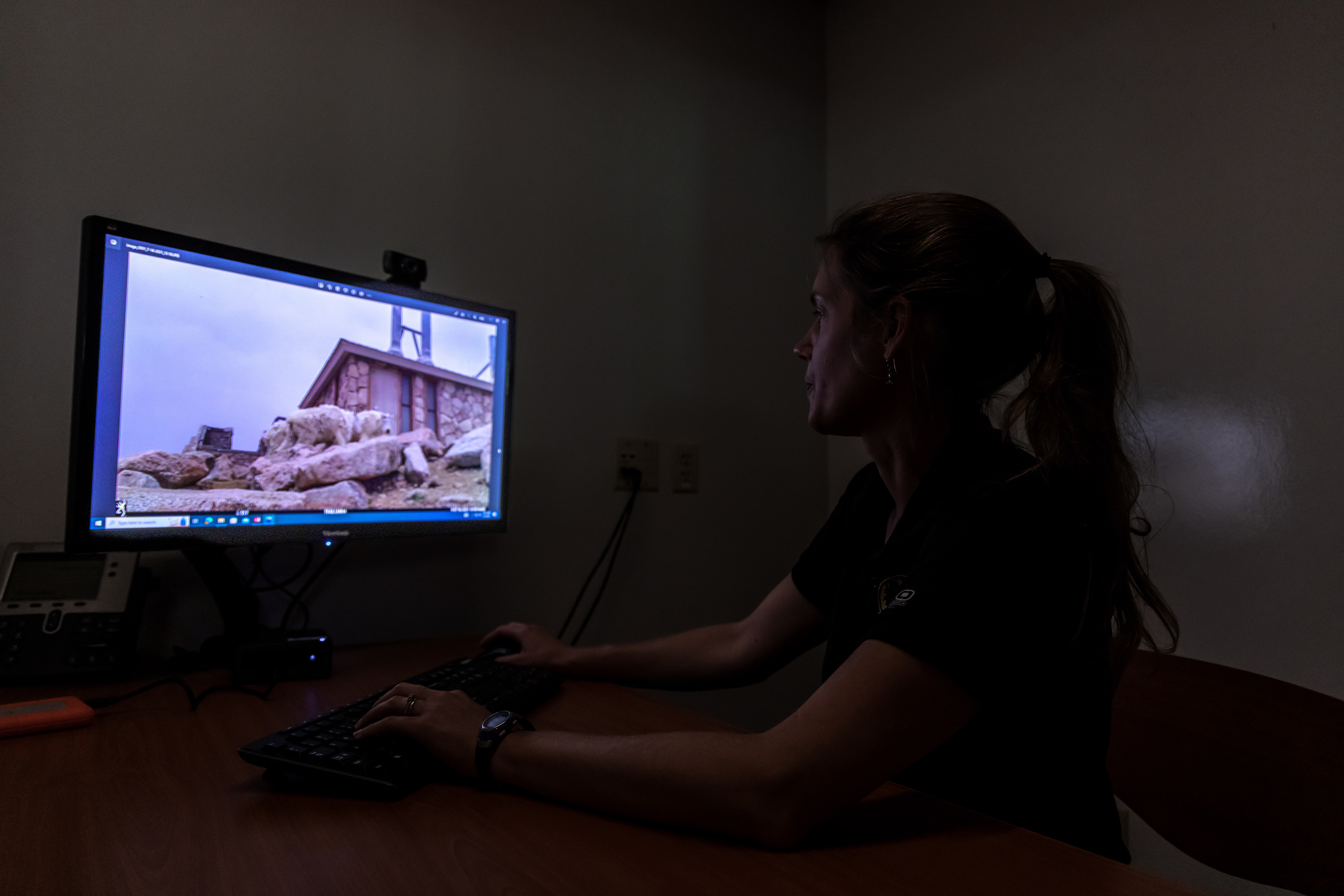 In an office at the Denver Zoo, Conservation Biologist Julie Krajewski sorts through the plethora of trail cam images she and her crew have collected on Mount blue Sky.