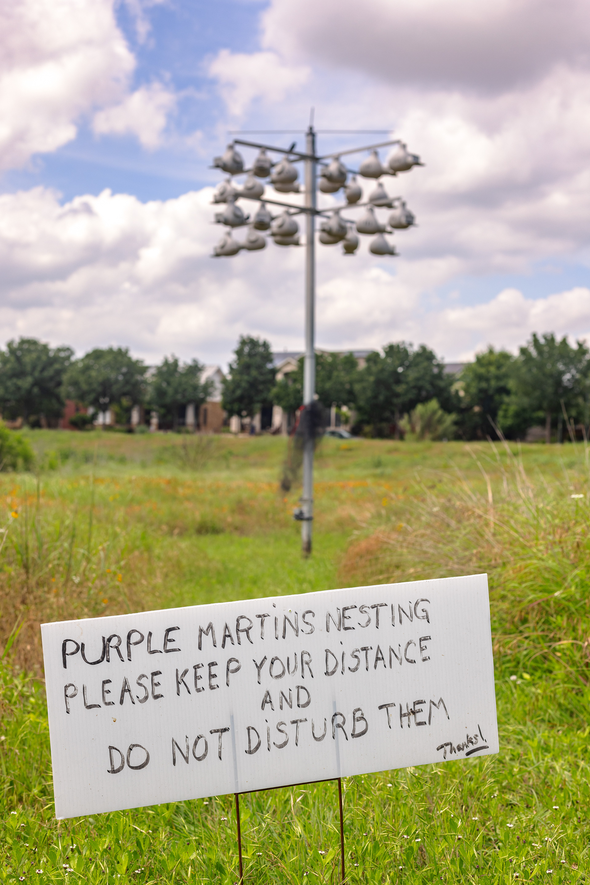 A temporary sign alerts parkgoers to the purple martins nesting site. Meuller Prairie, Austin TX.