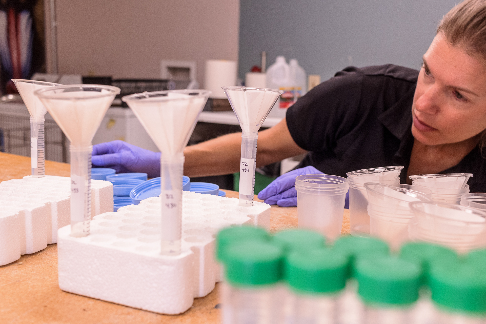 Denver Zoo Conservation Biologist Julie Krajewski prepares the mineral and chemical samples her team collected from Mount Blue Sky and Summit Lake for analysis at a nearby lab..
