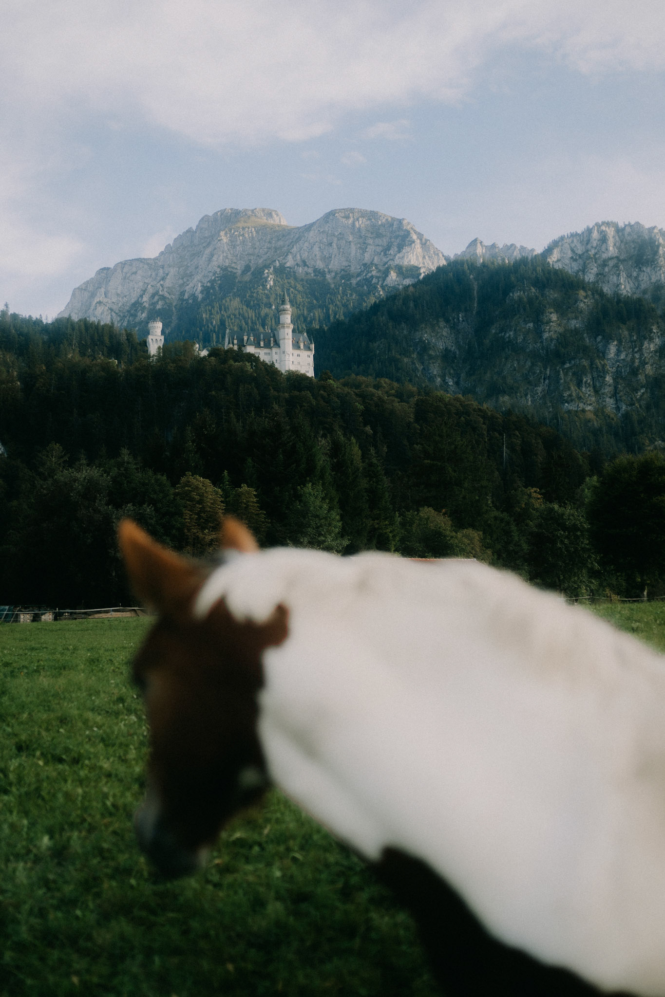 Neuschwanstein Castle, Germany