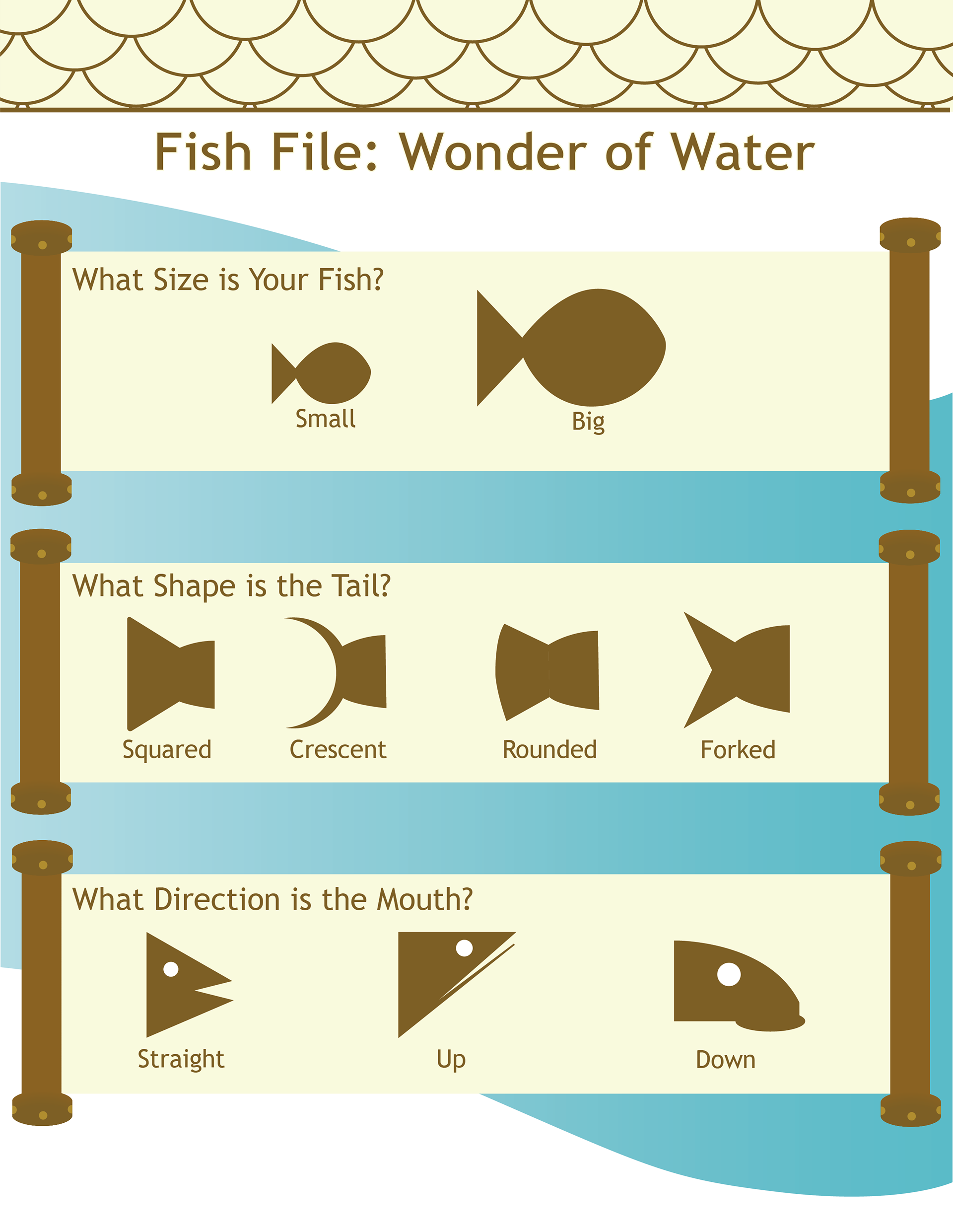 Fish File for Shedd Aquarium
