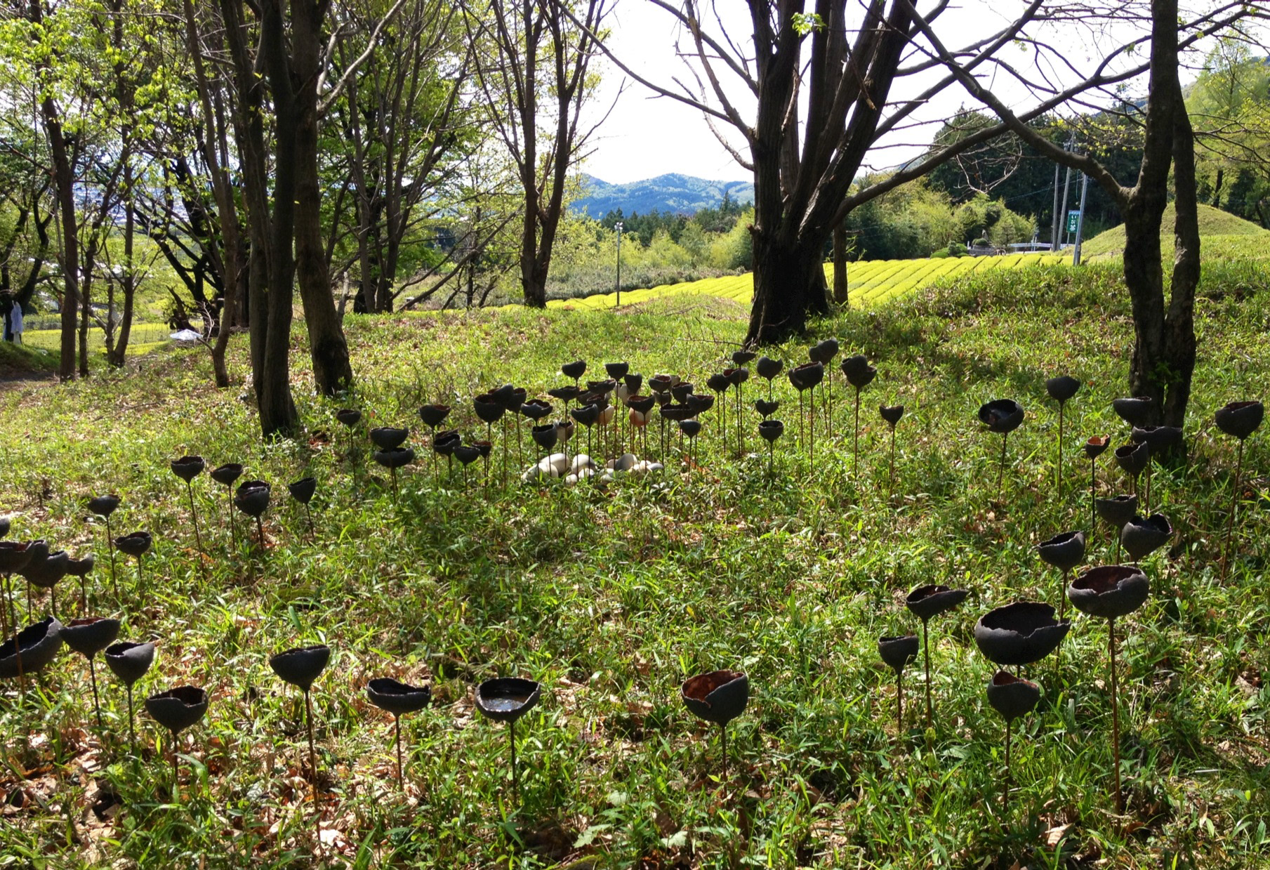 「110と1」願成寺古墳群美術展2013