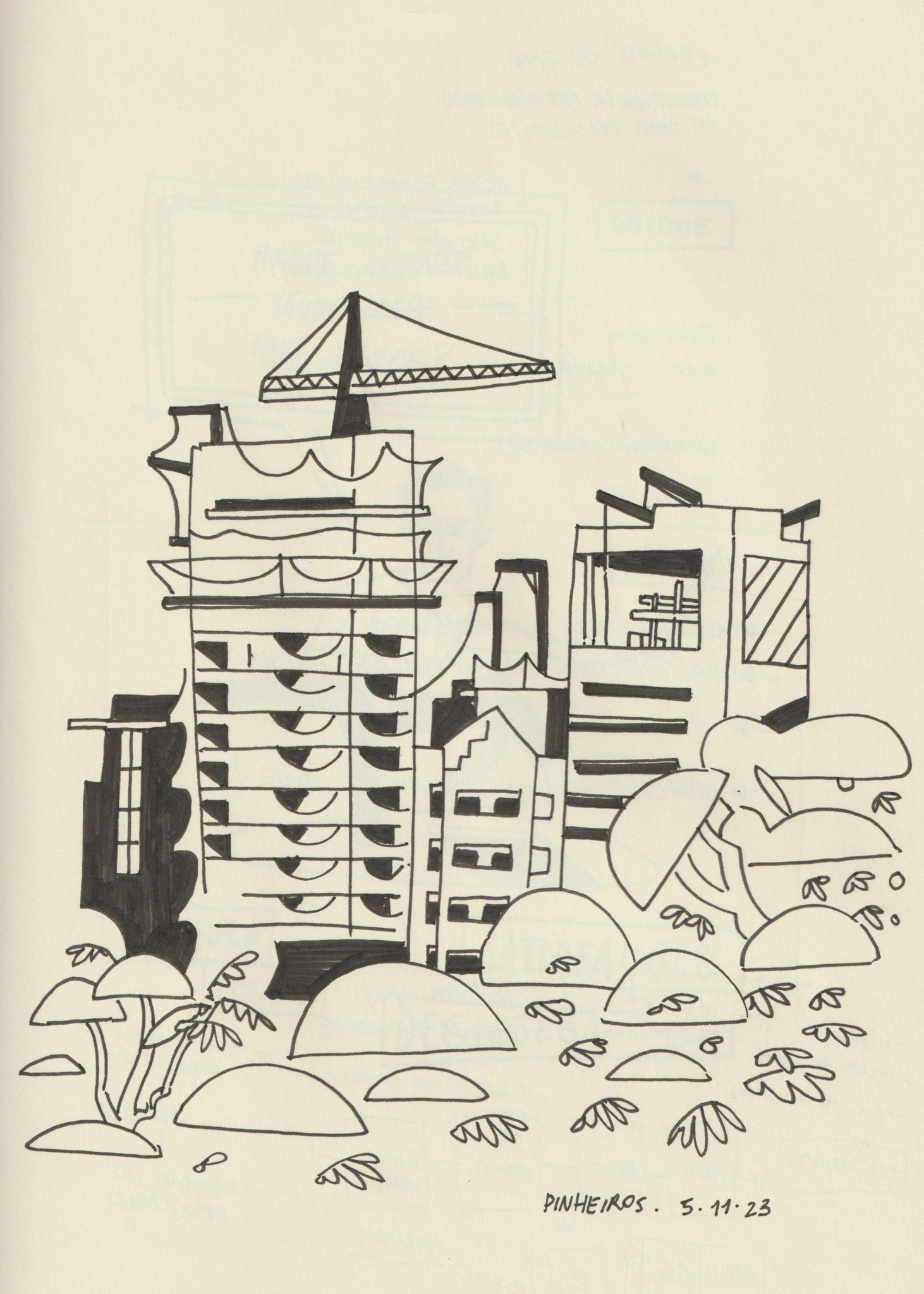 Pinheiros, 2022.
