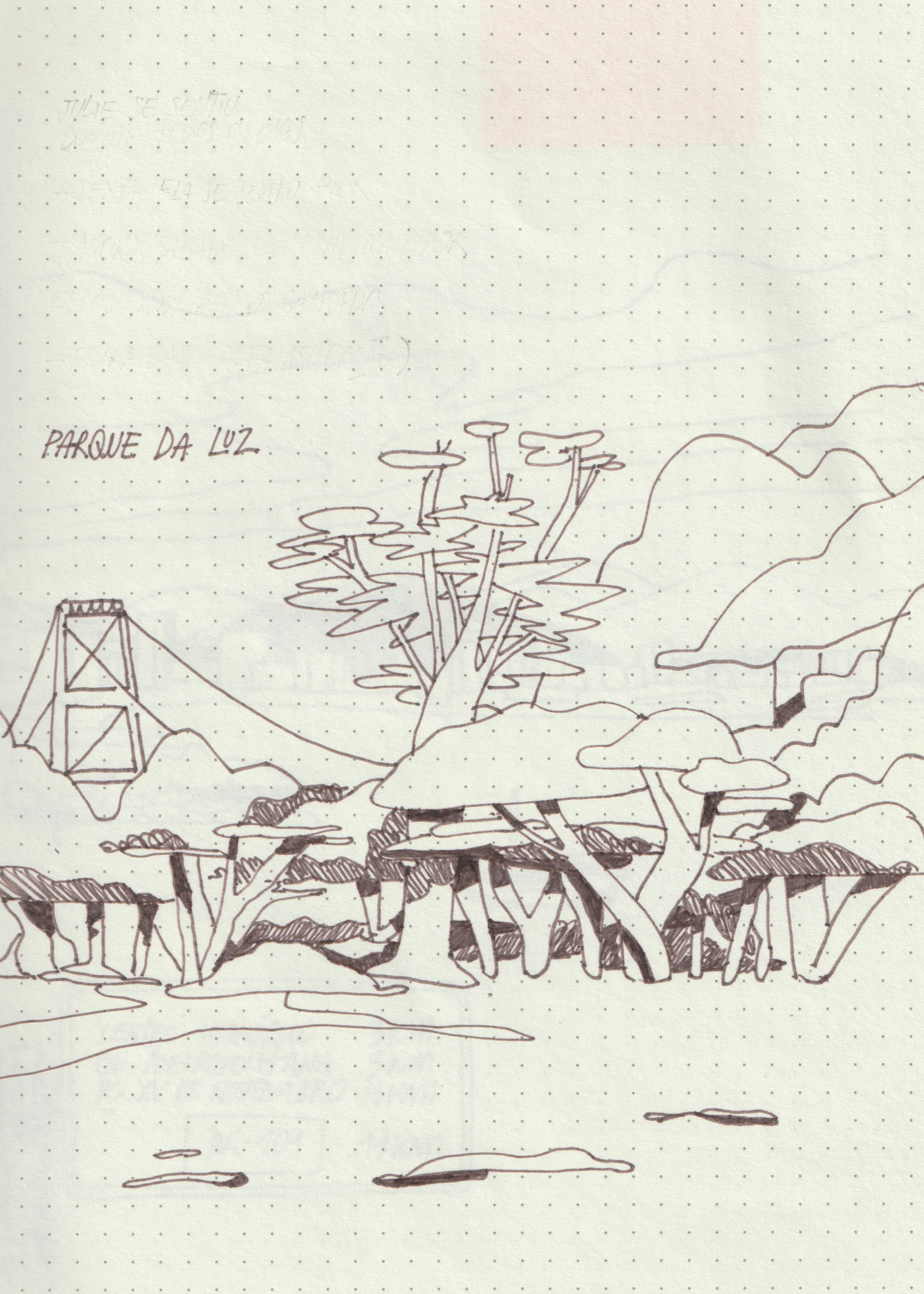 Florianópolis, 2025.