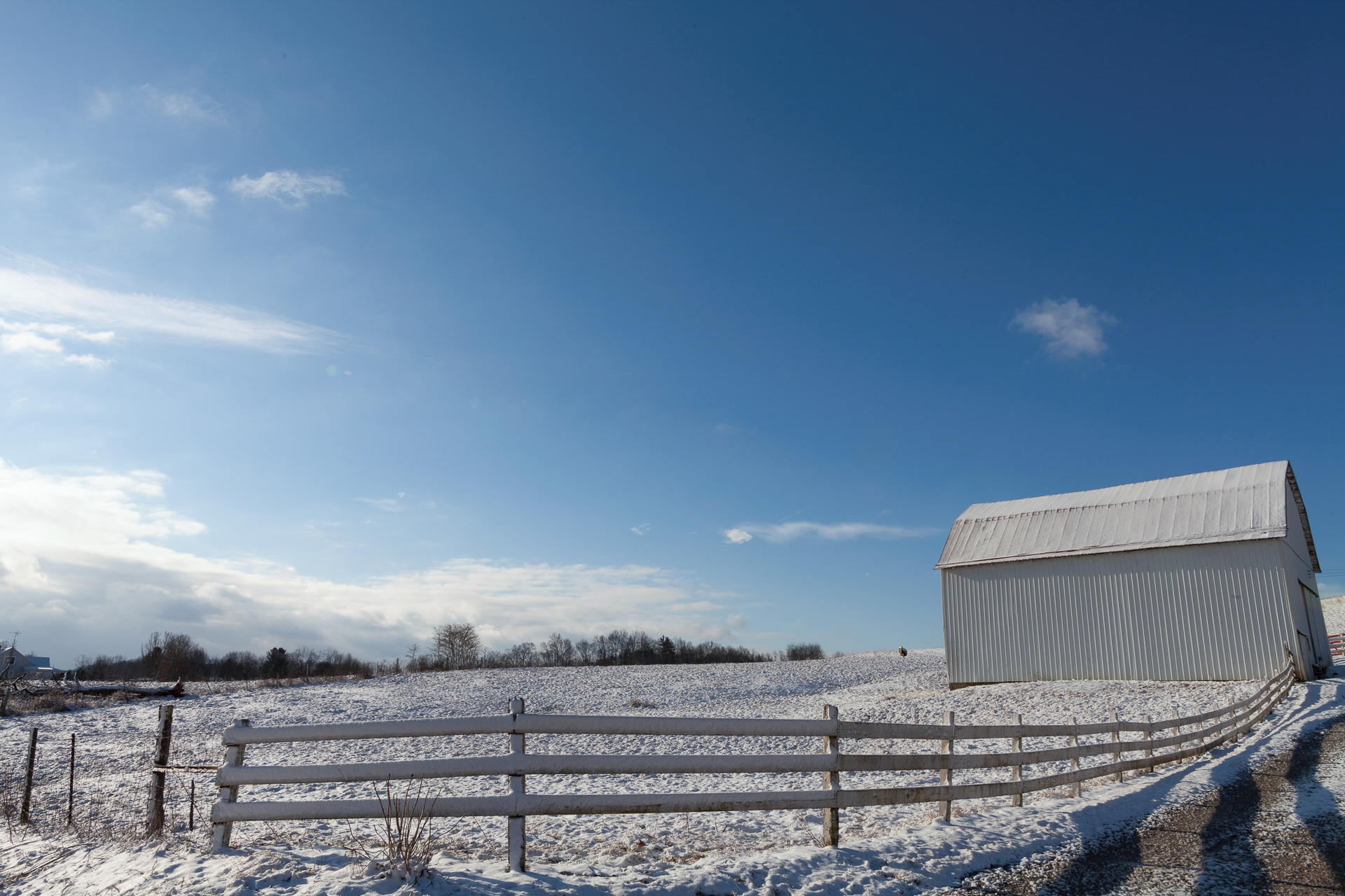 Debra West, 66 of Alexander, Ohio lives across the street from her son Travis West, and down the road a little further is Gene Weber, her uncle, Gene Weber, who is now in his 90's, and Travis West works all three plots of land, which are full farms in and of themselves, Alexander, Ohio, Mar 4, 2019. It's not unusual to find family generations clustered under a farm that doesn't bring them any money in Albany and the surrounding territories.
