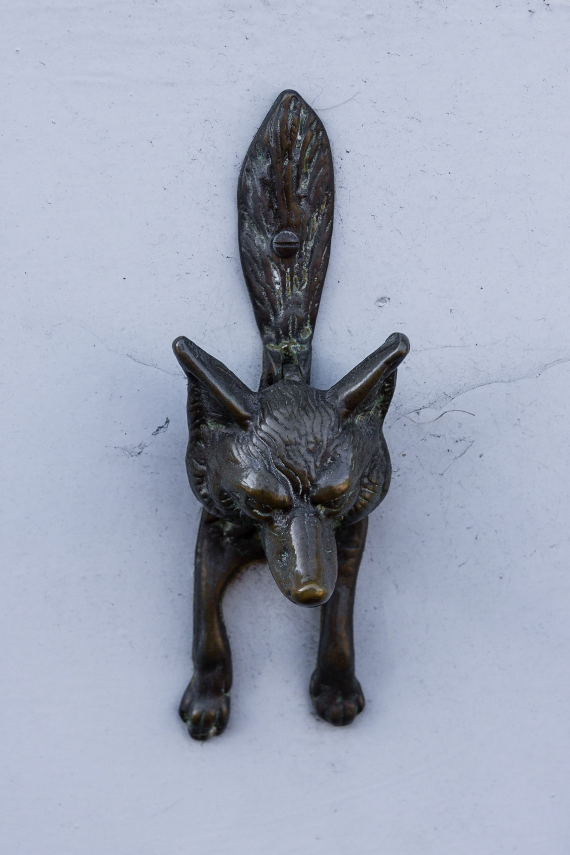 Foxy