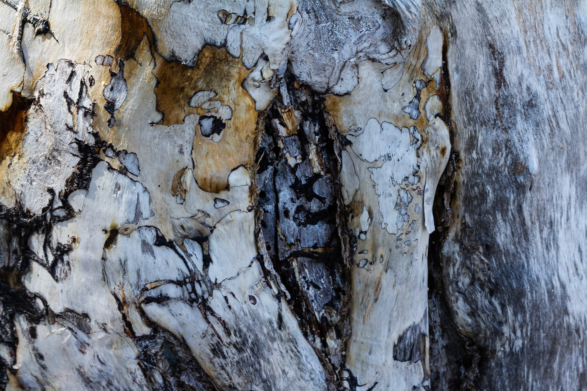 Hidden faces