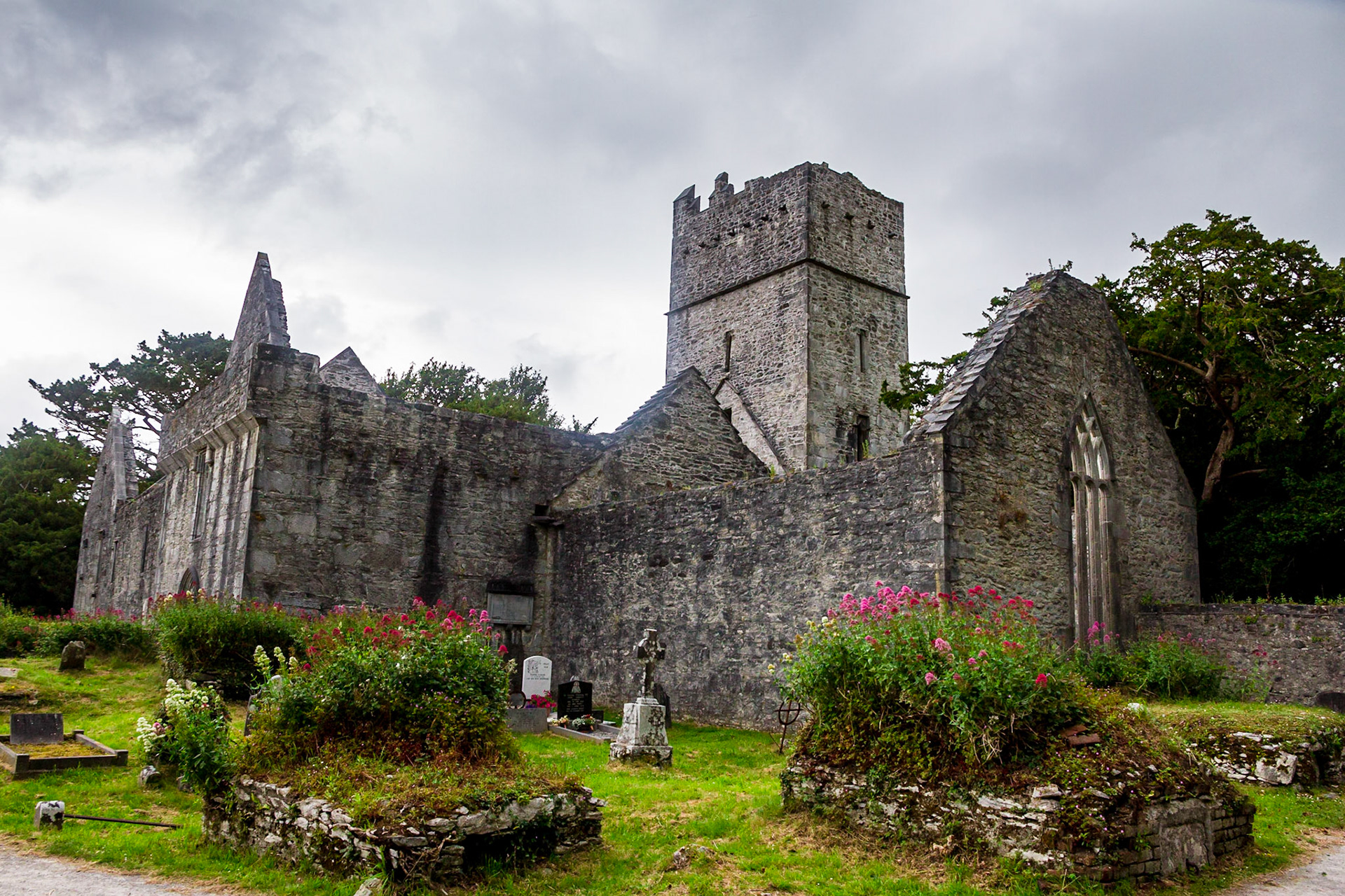Muckross Abbey