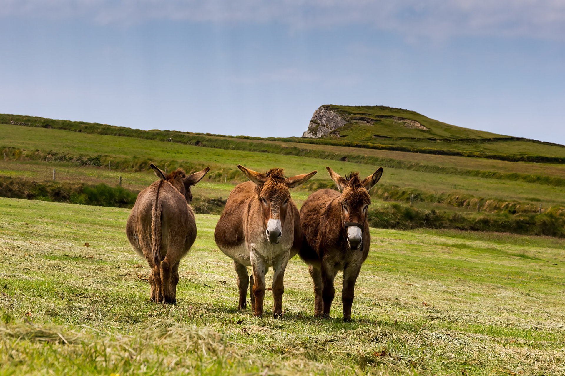 There has to be one...