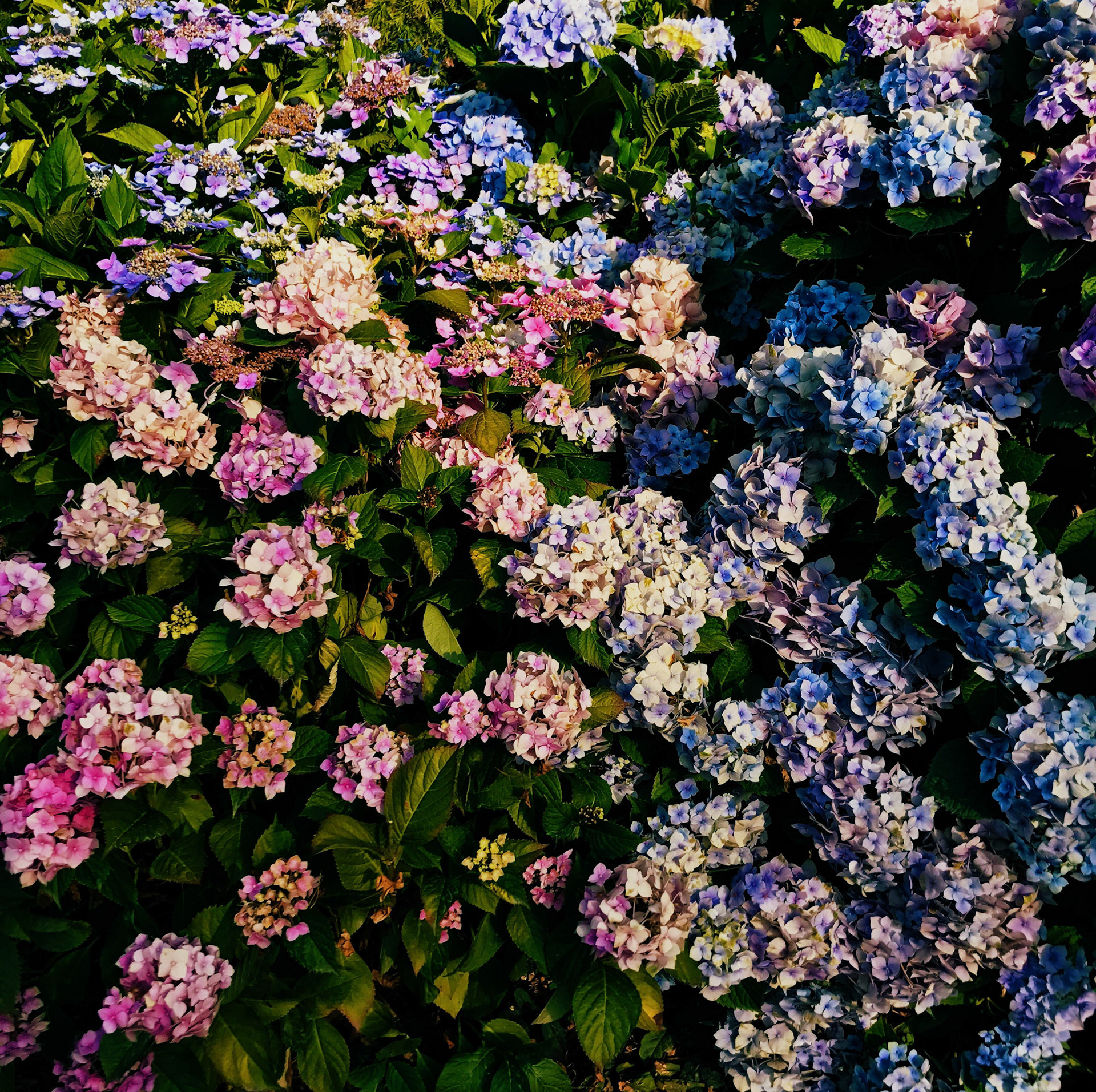 Processed with VSCO with s3 preset