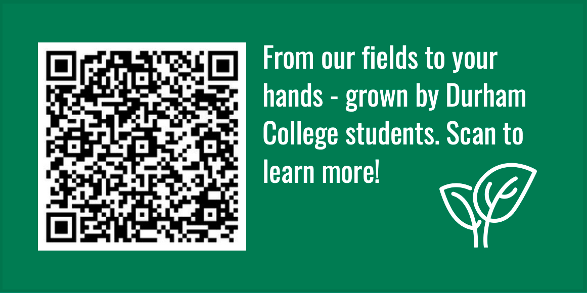 Apple Chips Label Back